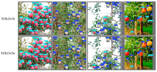 Horticulturae 11 01068 g010a Horticulturae 11 01068 g010a