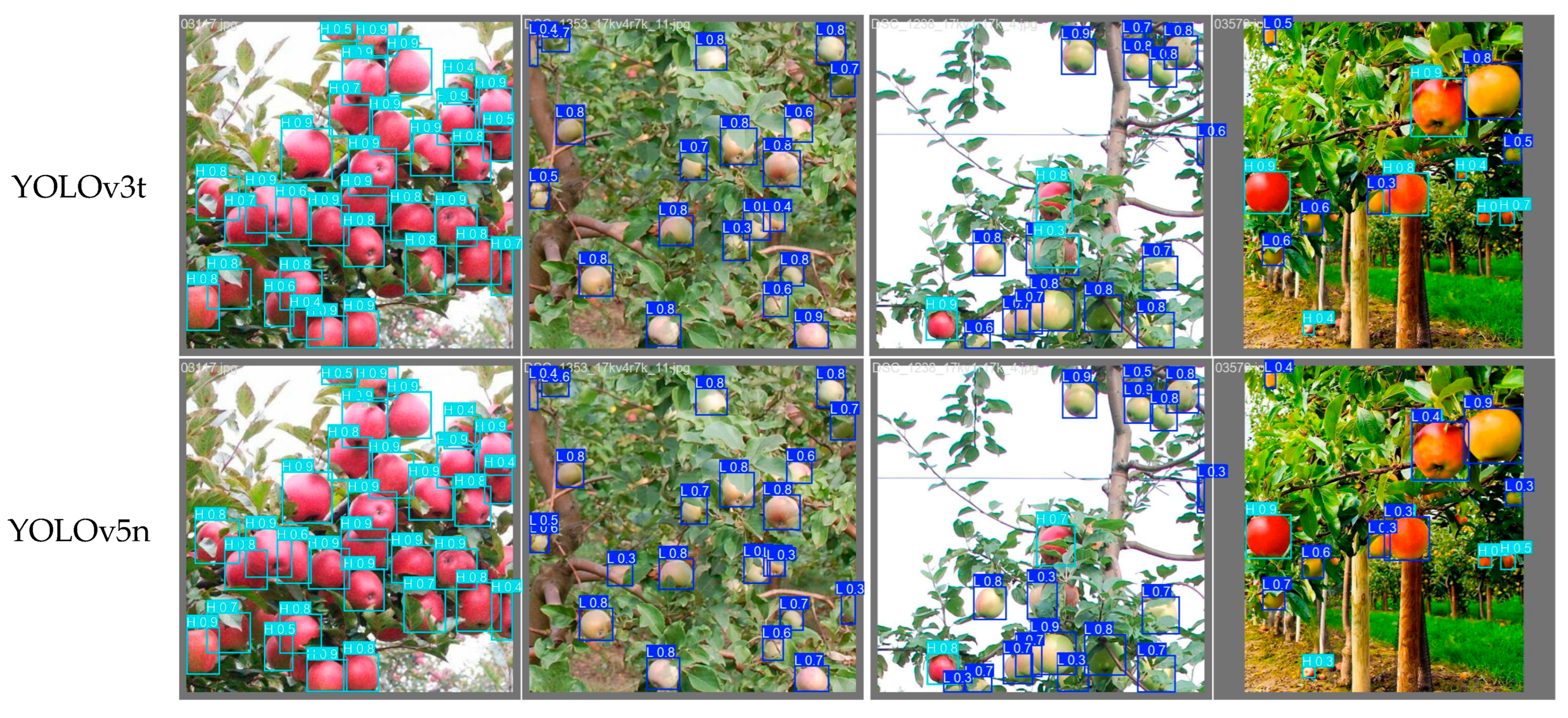 Horticulturae 11 01068 g010a Horticulturae 11 01068 g010a