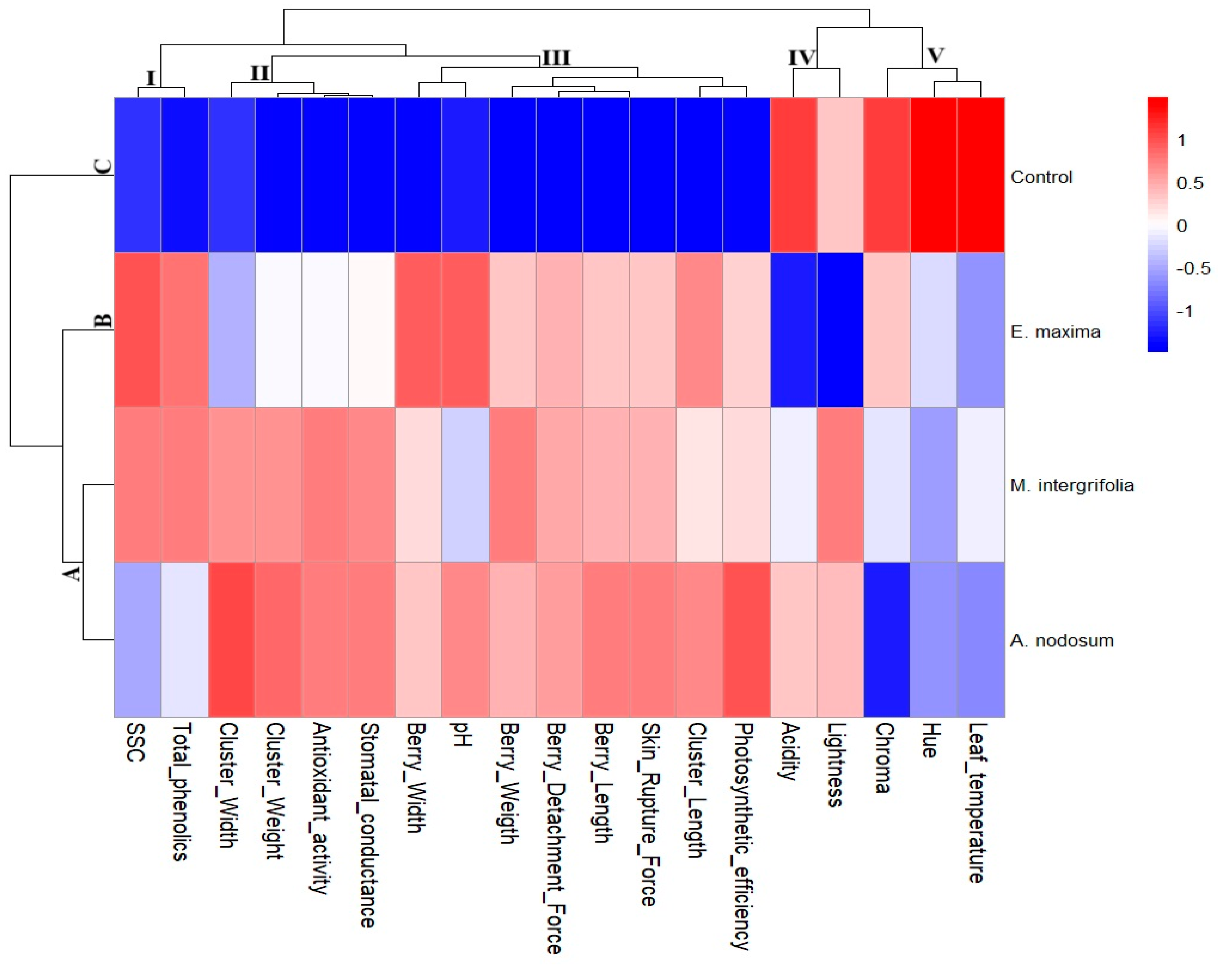 Horticulturae 11 01118 g003