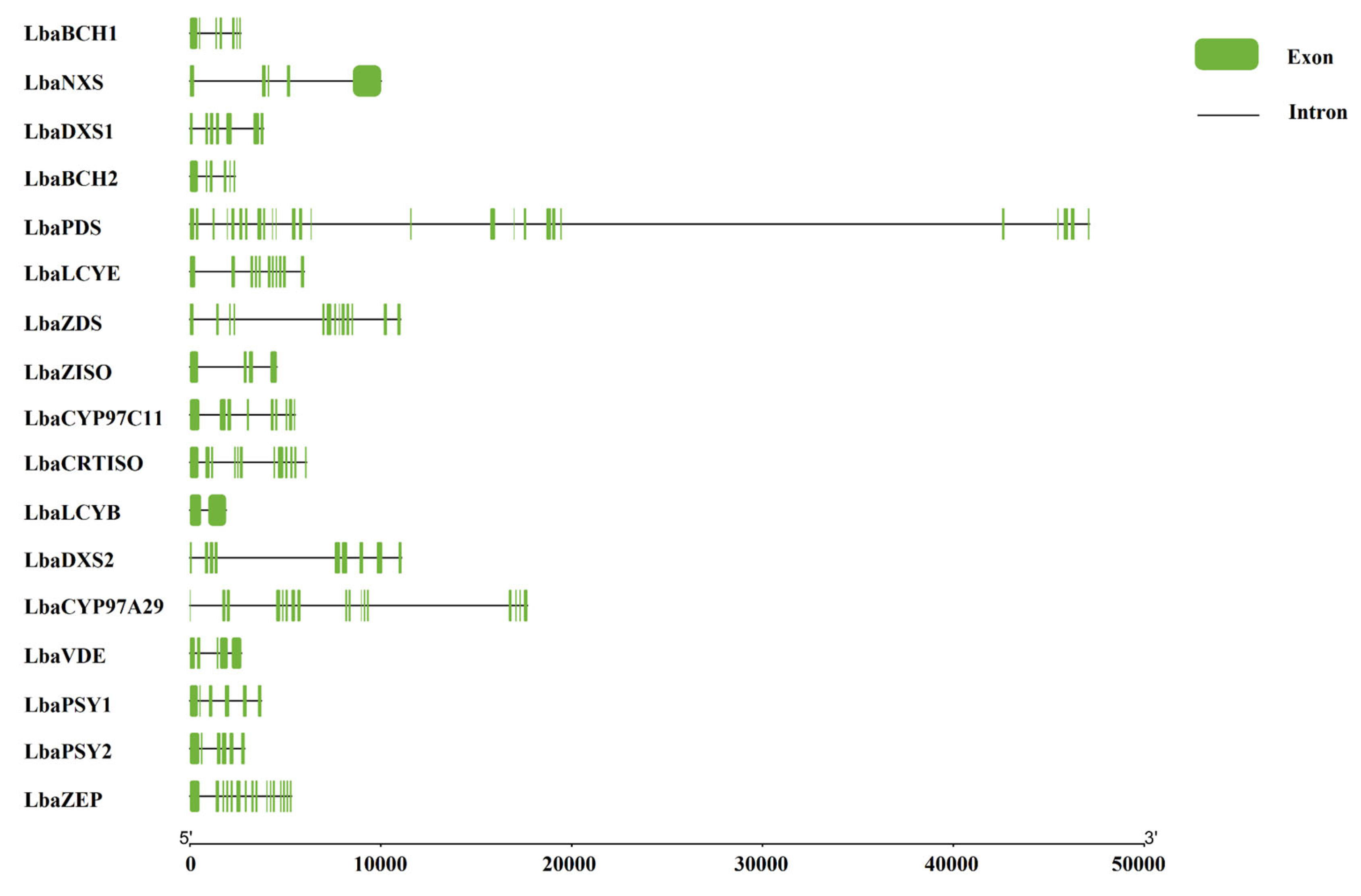 Horticulturae 11 01149 g001