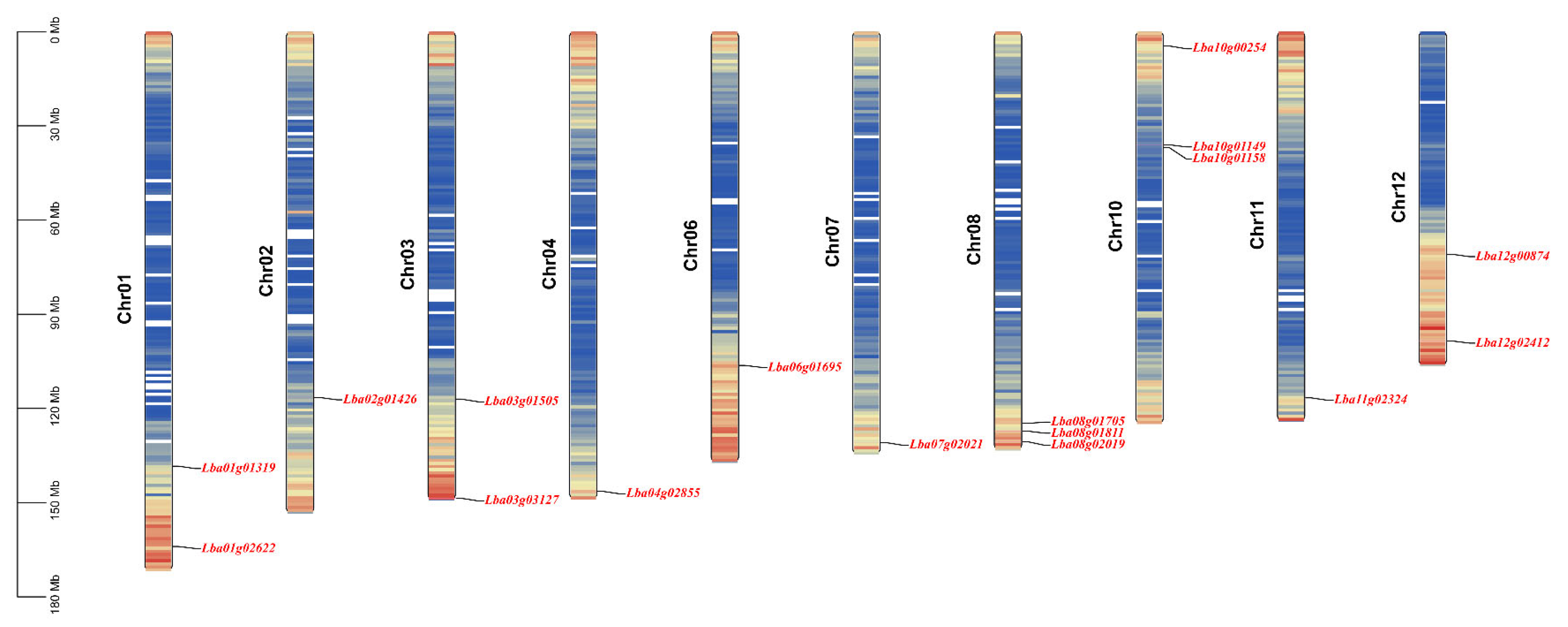 Horticulturae 11 01149 g003