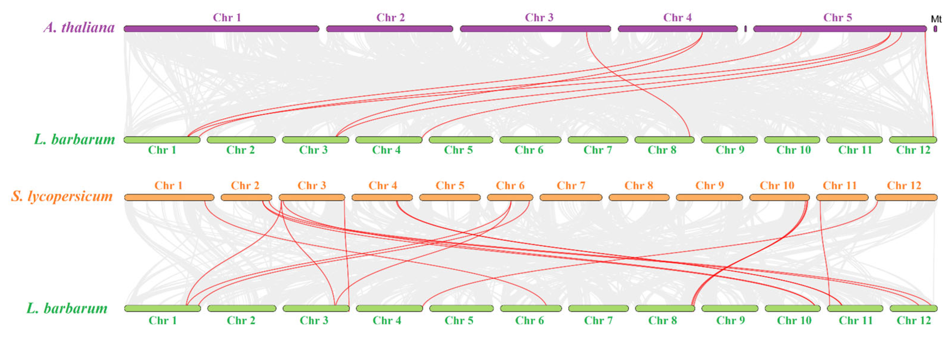 Horticulturae 11 01149 g004