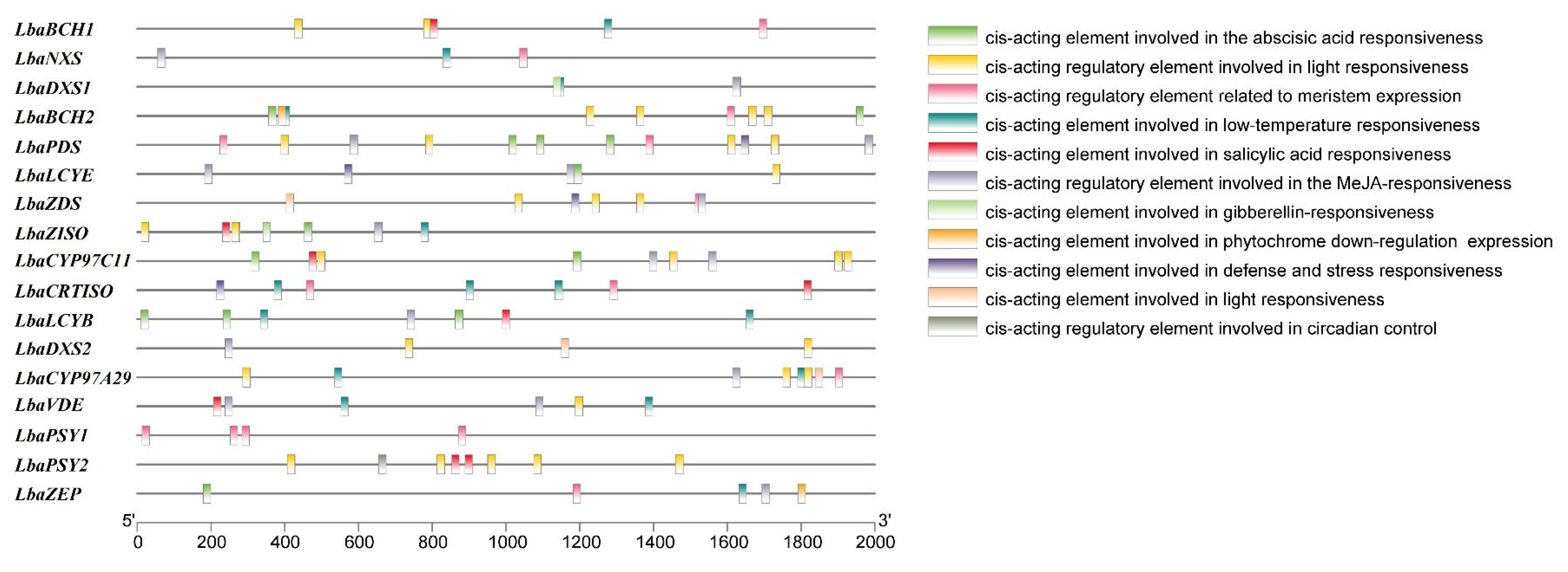 Horticulturae 11 01149 g005