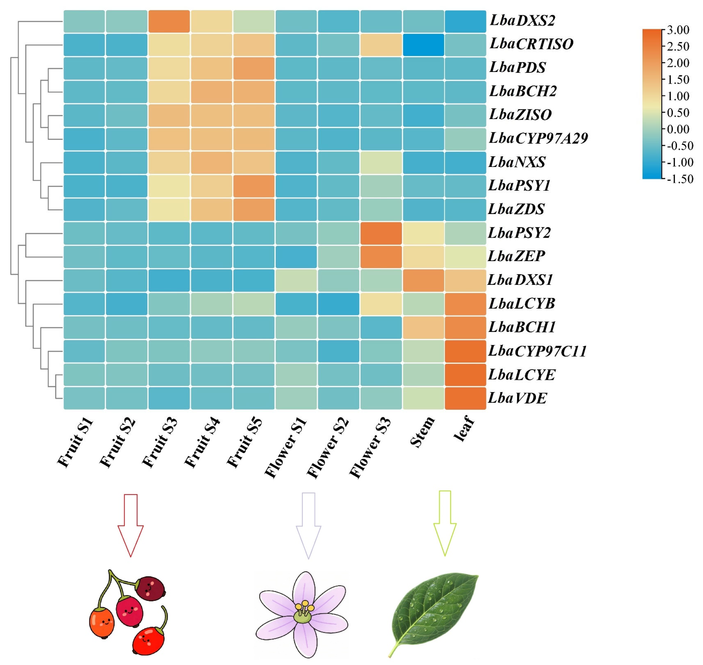 Horticulturae 11 01149 g006