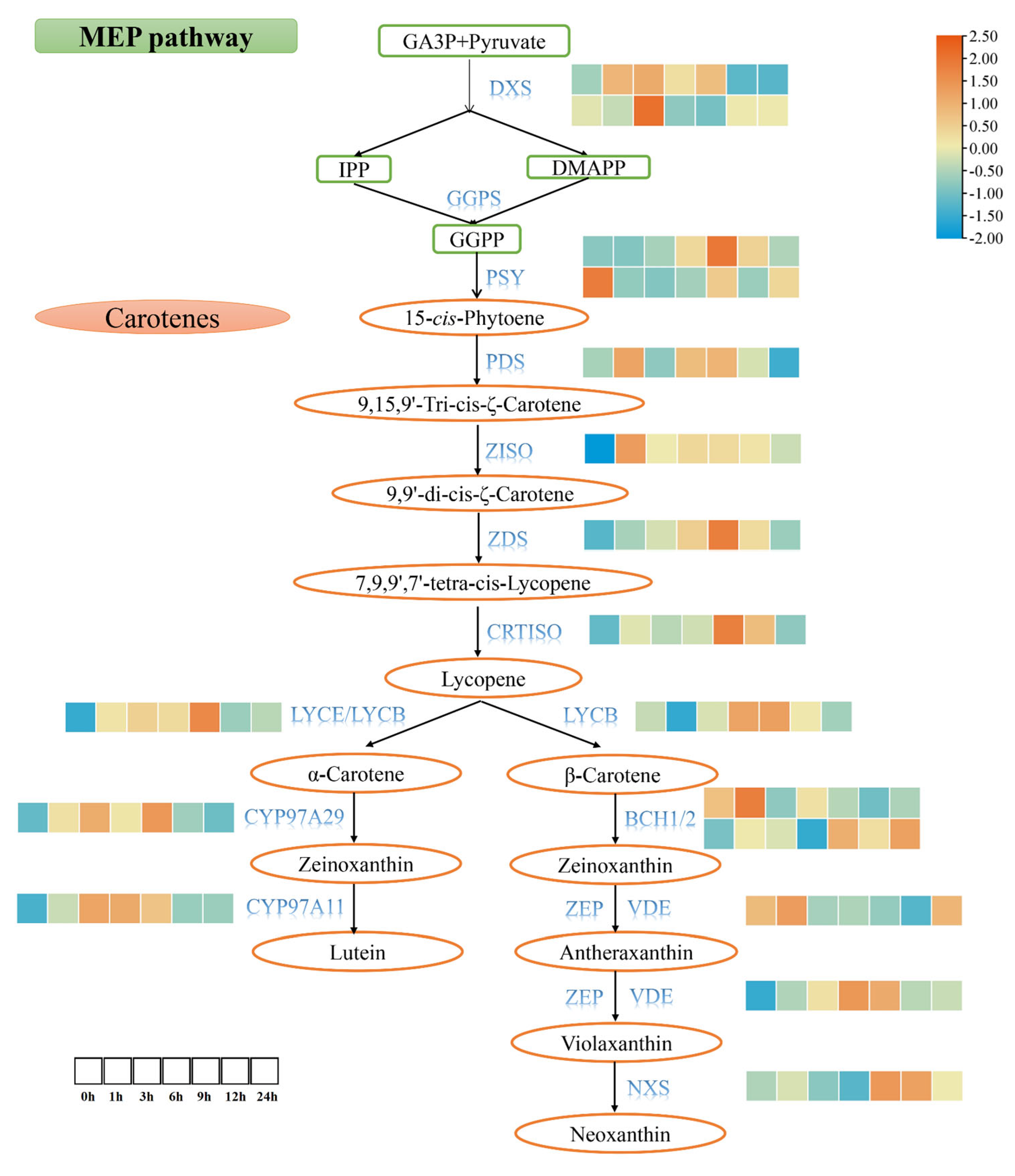 Horticulturae 11 01149 g007