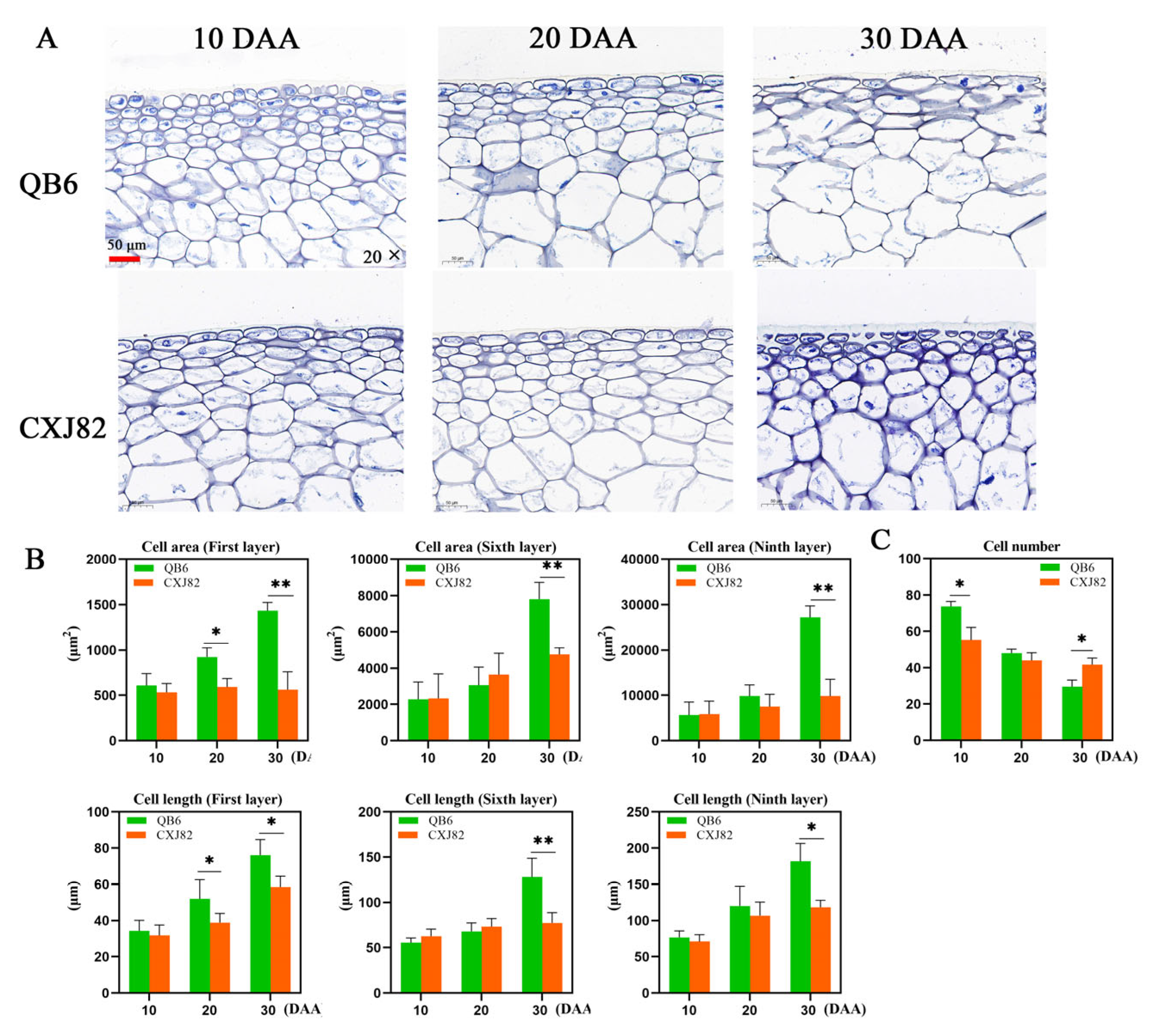 Horticulturae 11 01150 g002