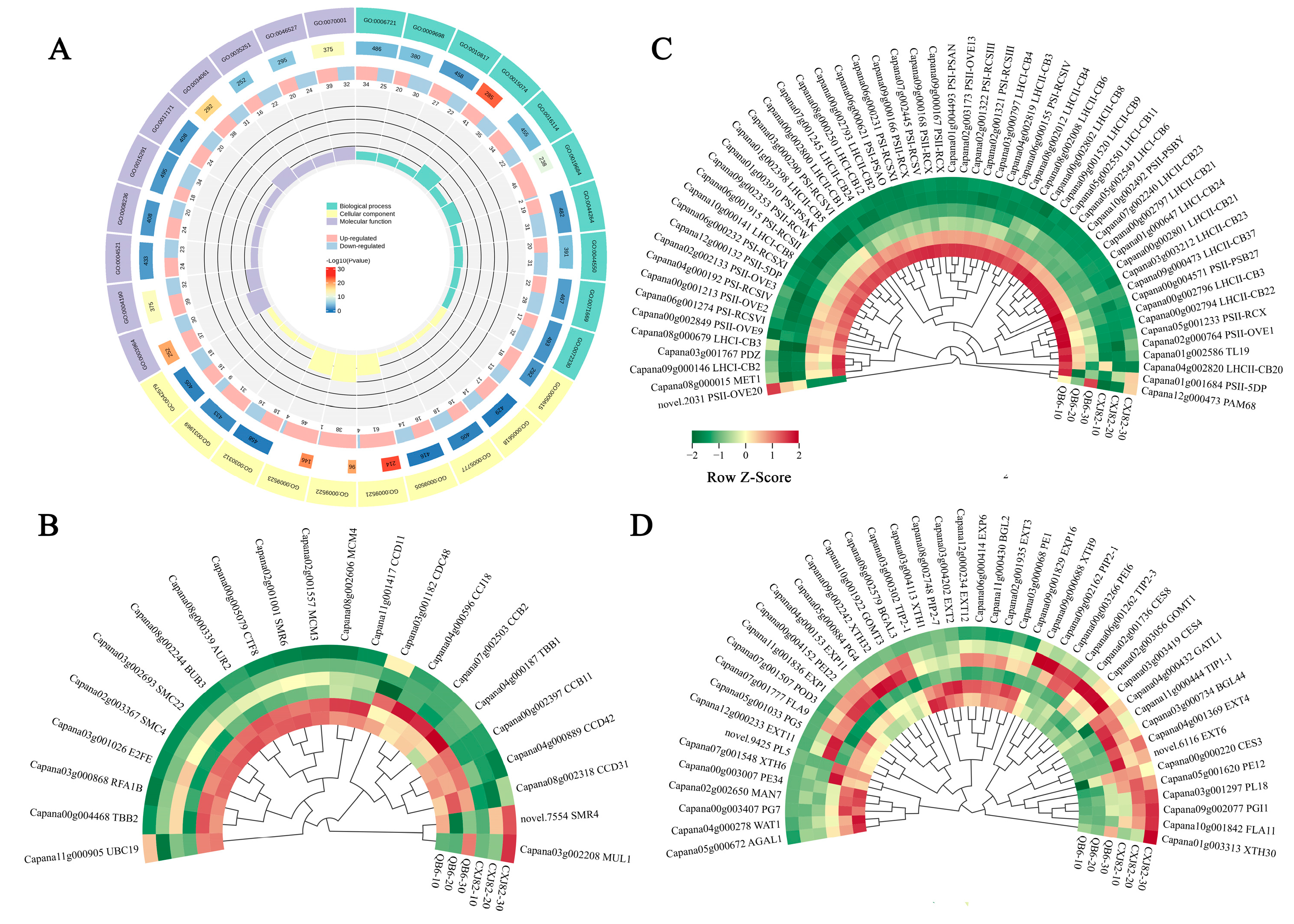 Horticulturae 11 01150 g003