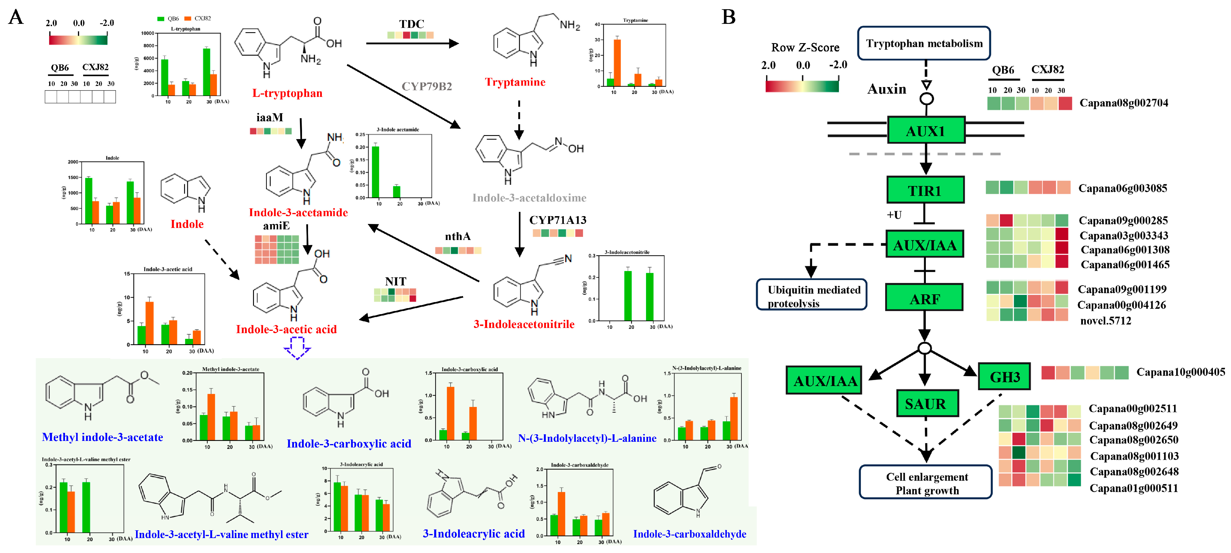 Horticulturae 11 01150 g004