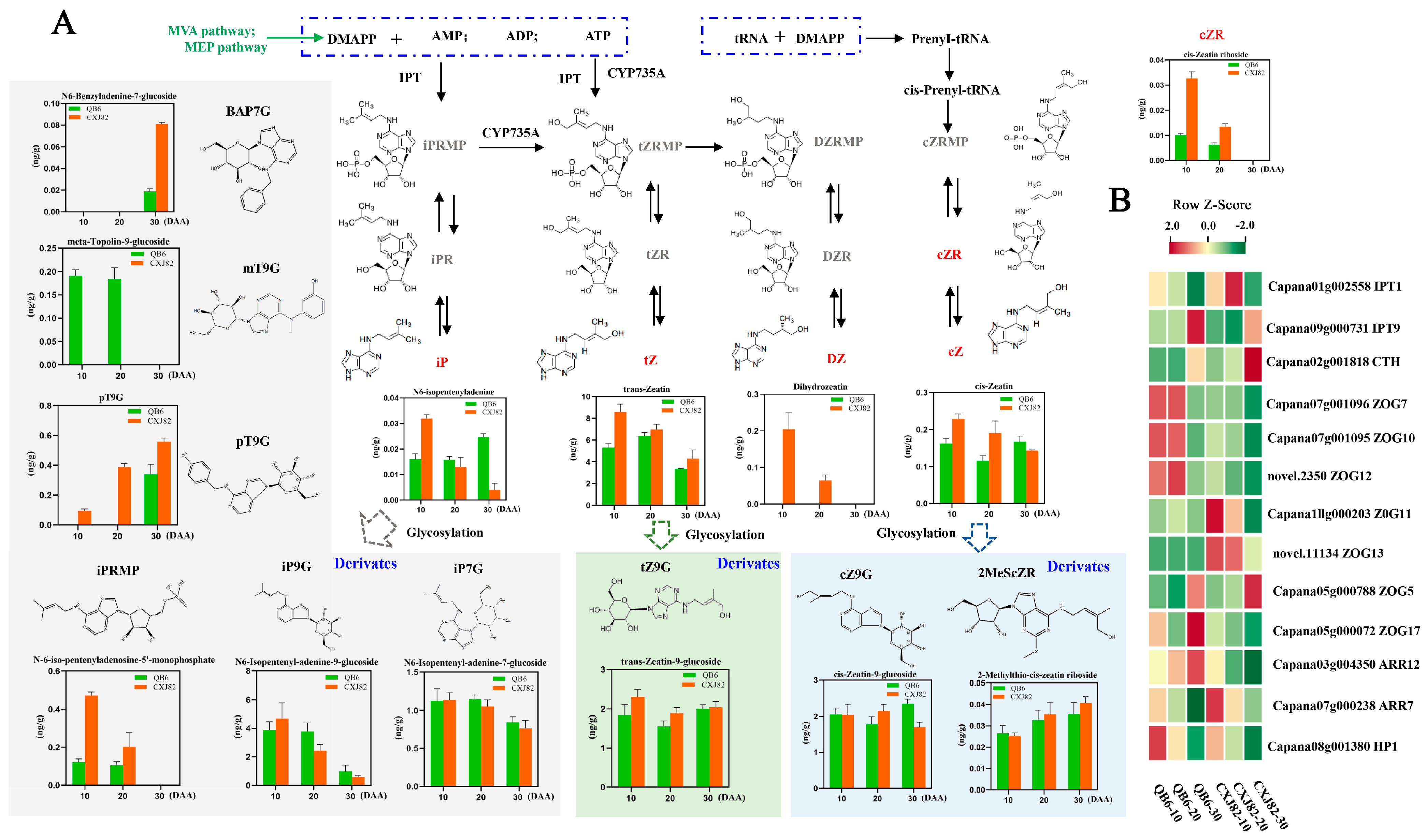 Horticulturae 11 01150 g005