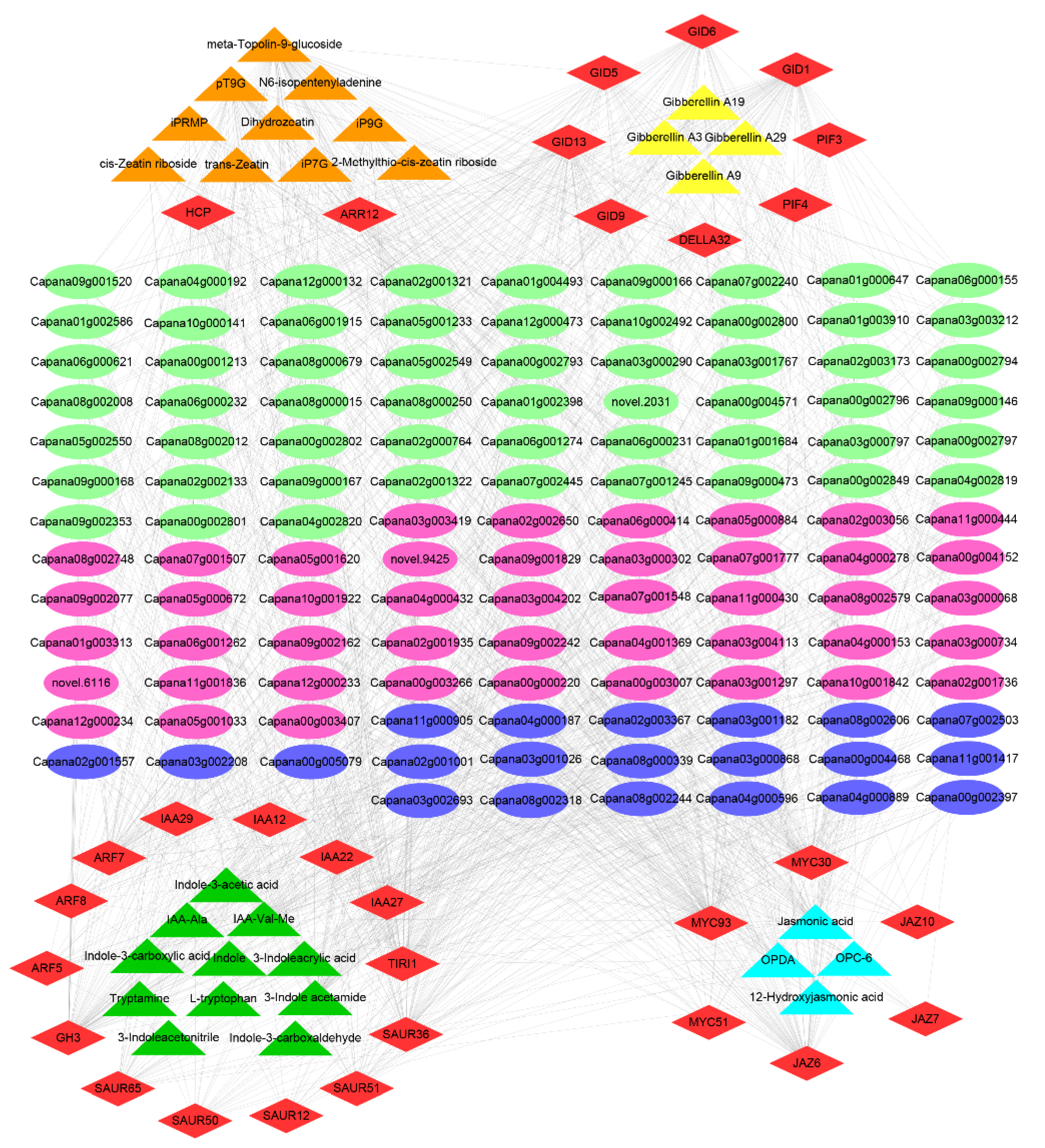 Horticulturae 11 01150 g007