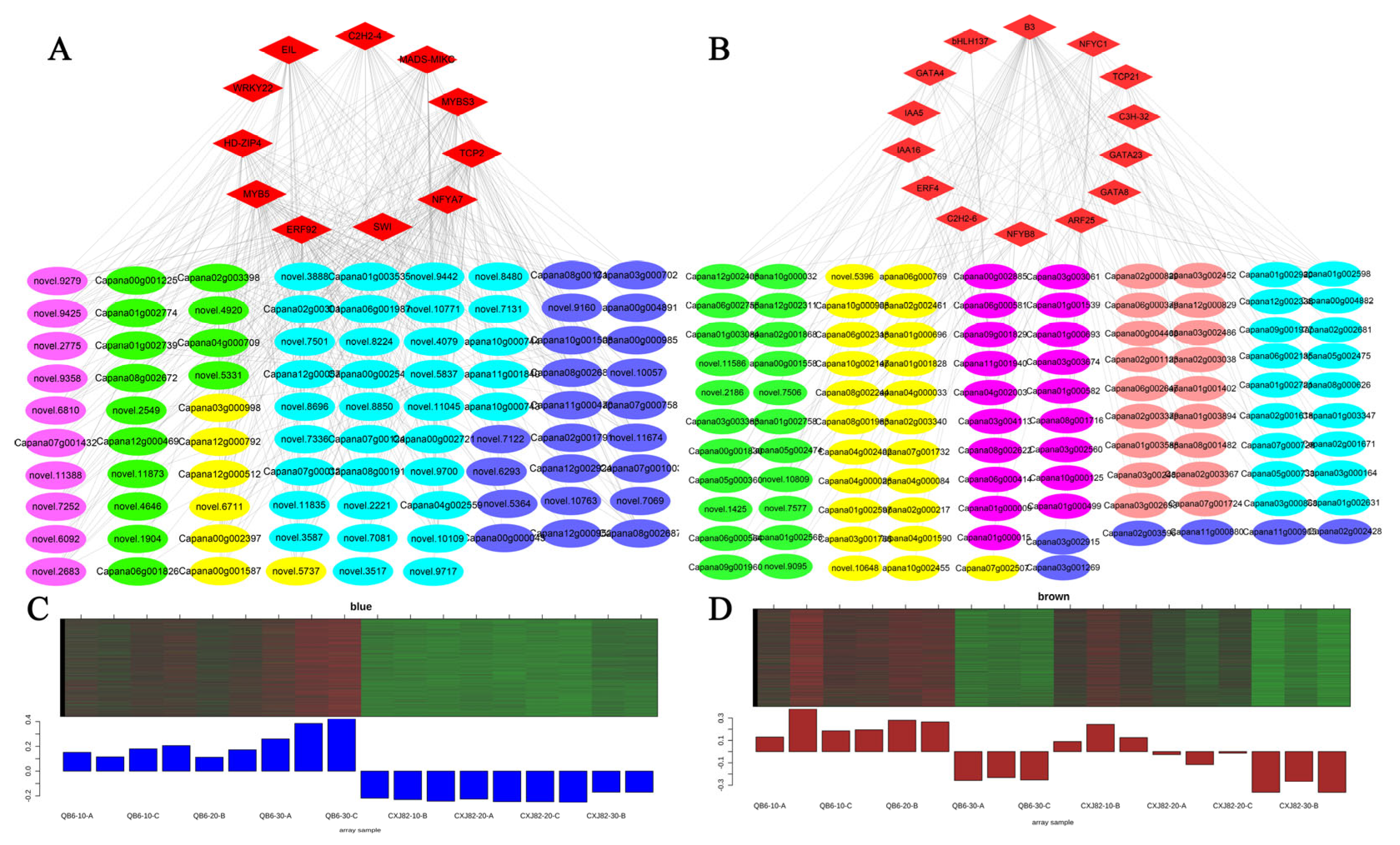 Horticulturae 11 01150 g008
