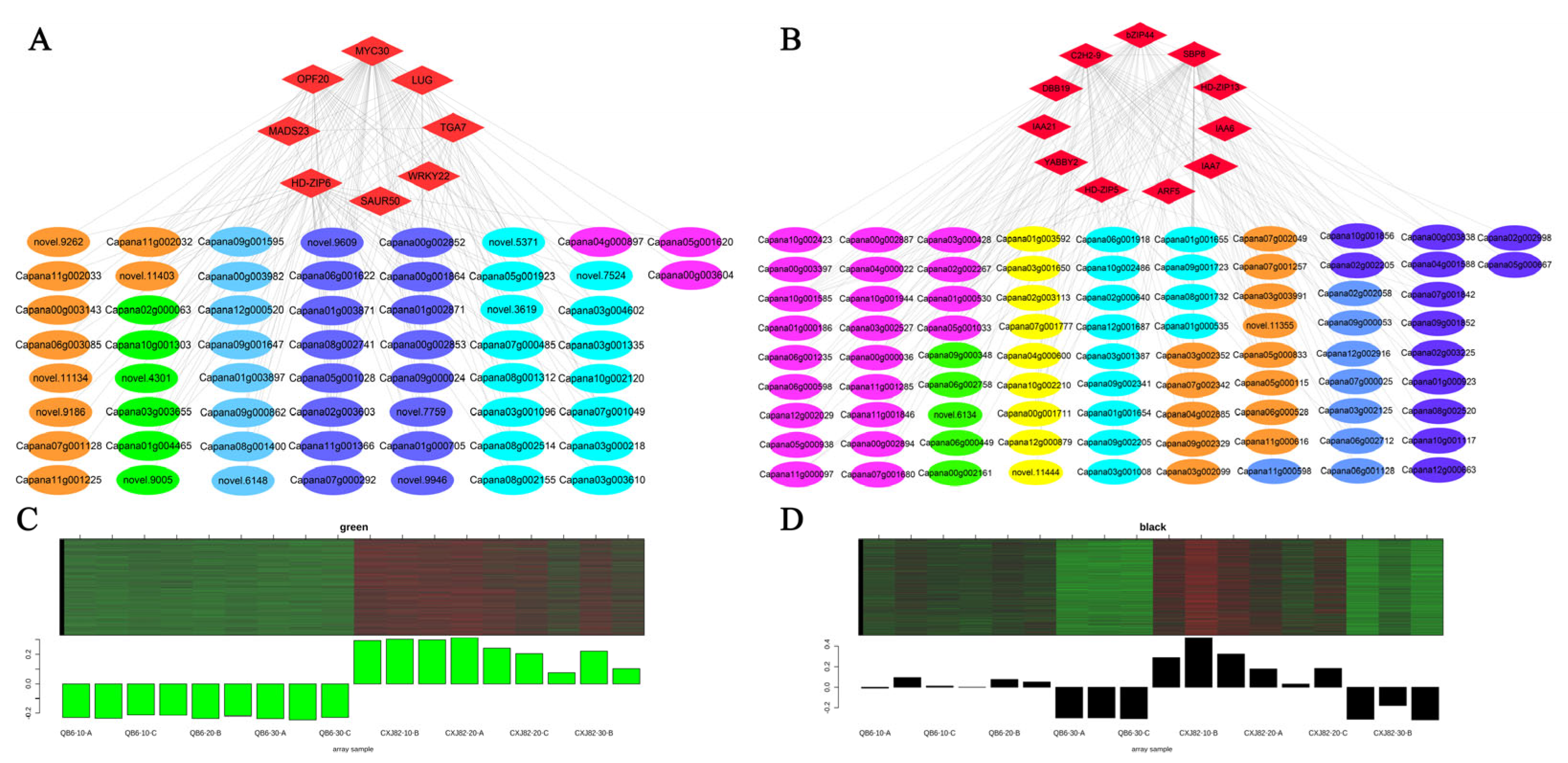 Horticulturae 11 01150 g009