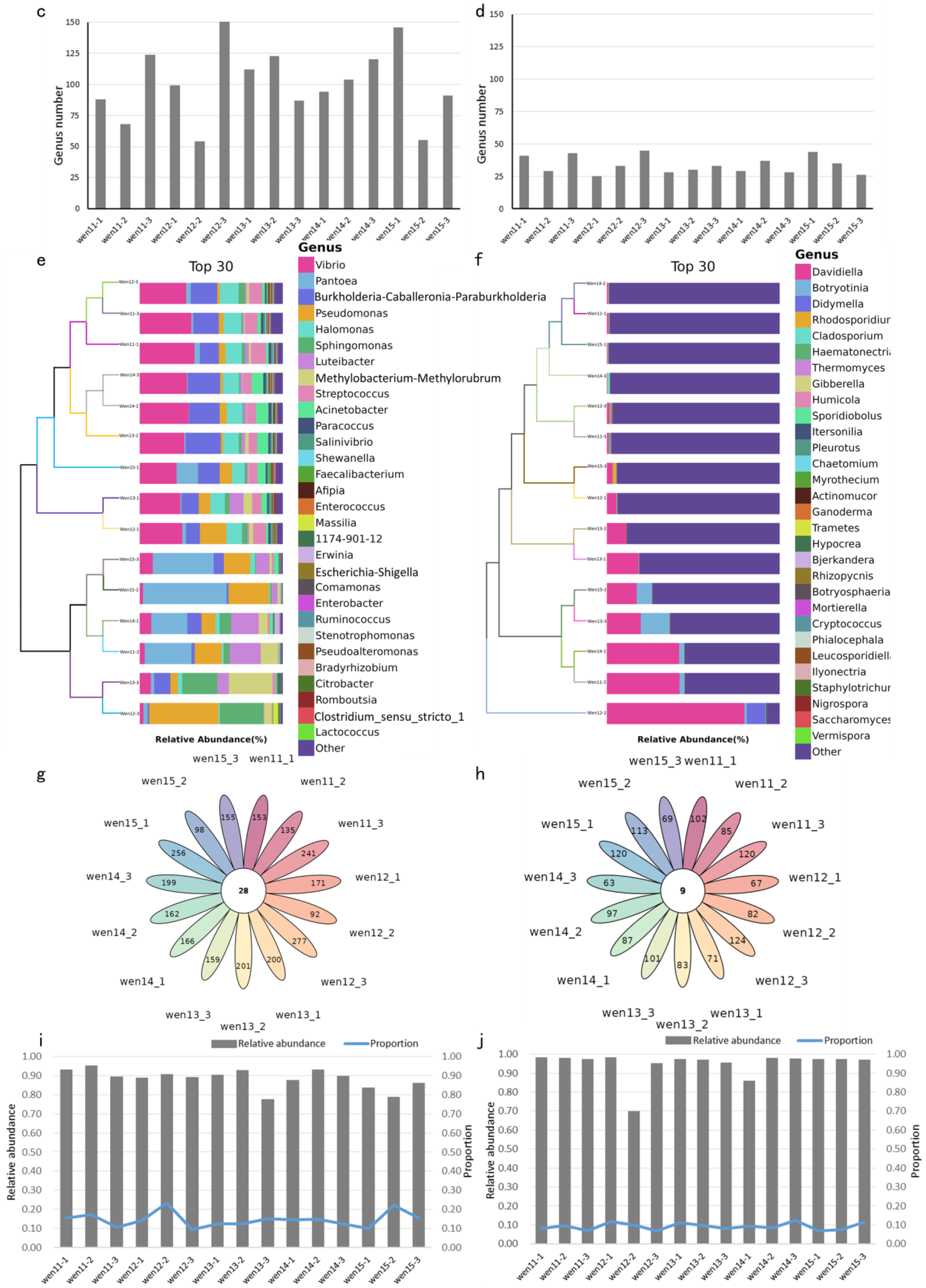 Horticulturae 11 01162 g003b