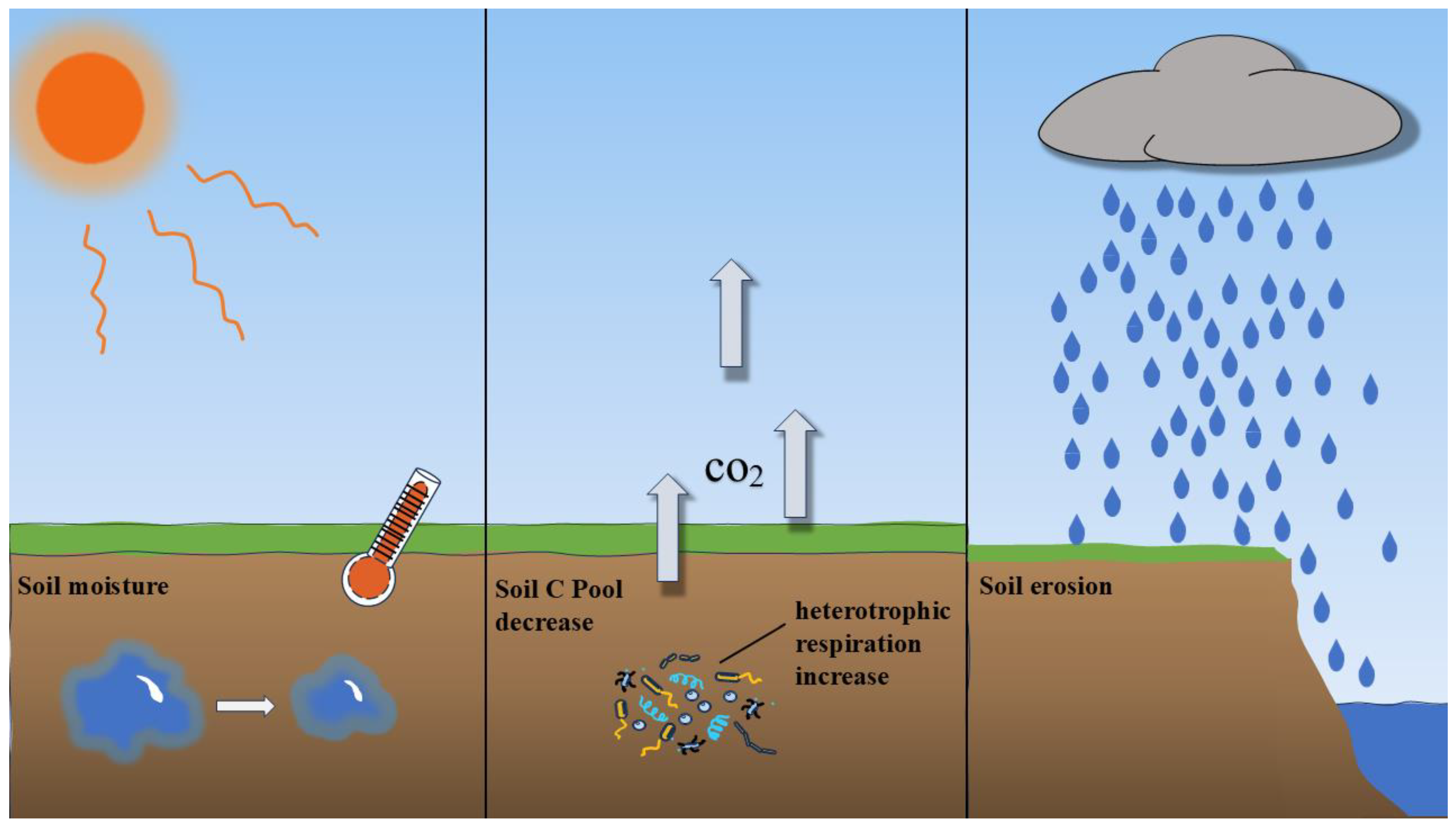 Horticulturae 11 01206 g001