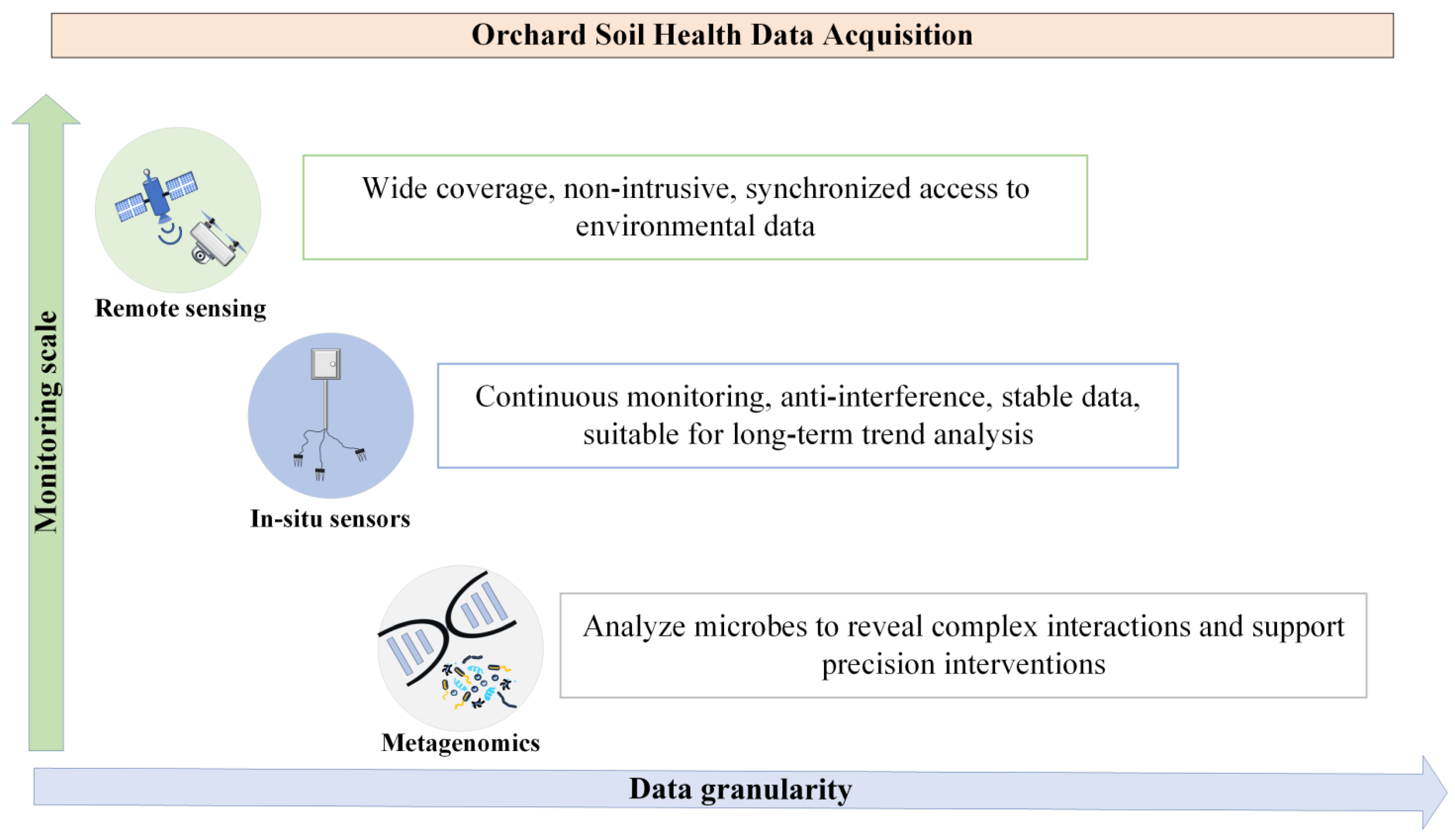Horticulturae 11 01206 g002