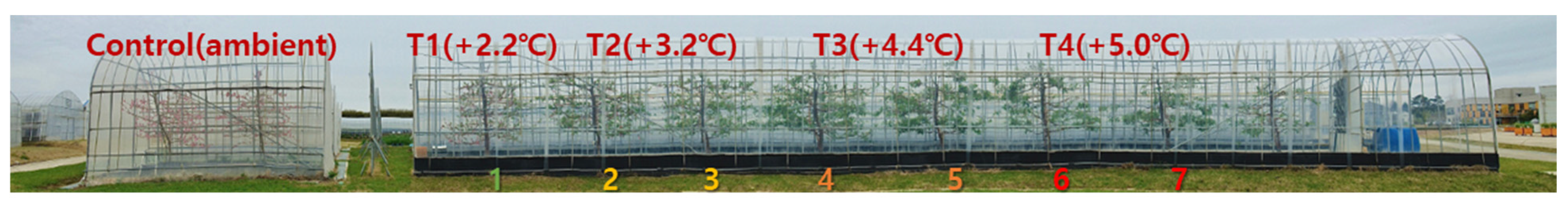 Horticulturae 11 01222 g001
