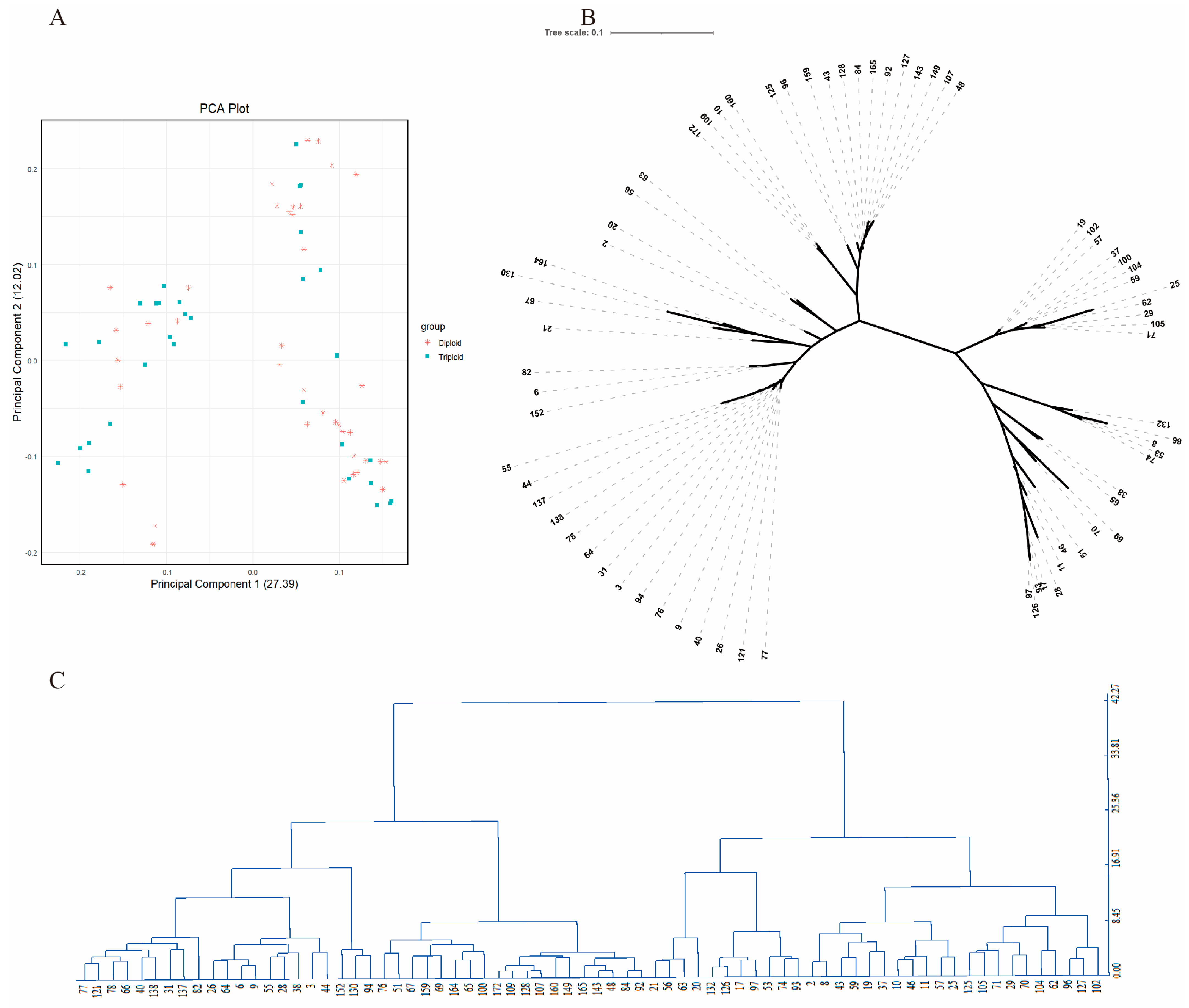 Horticulturae 11 01224 g004