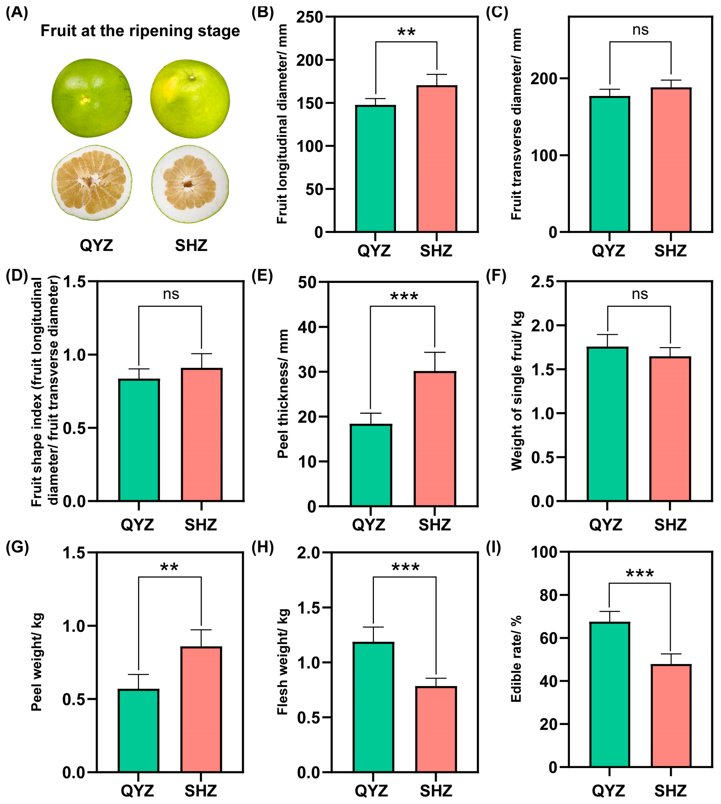 Horticulturae 11 01230 g001