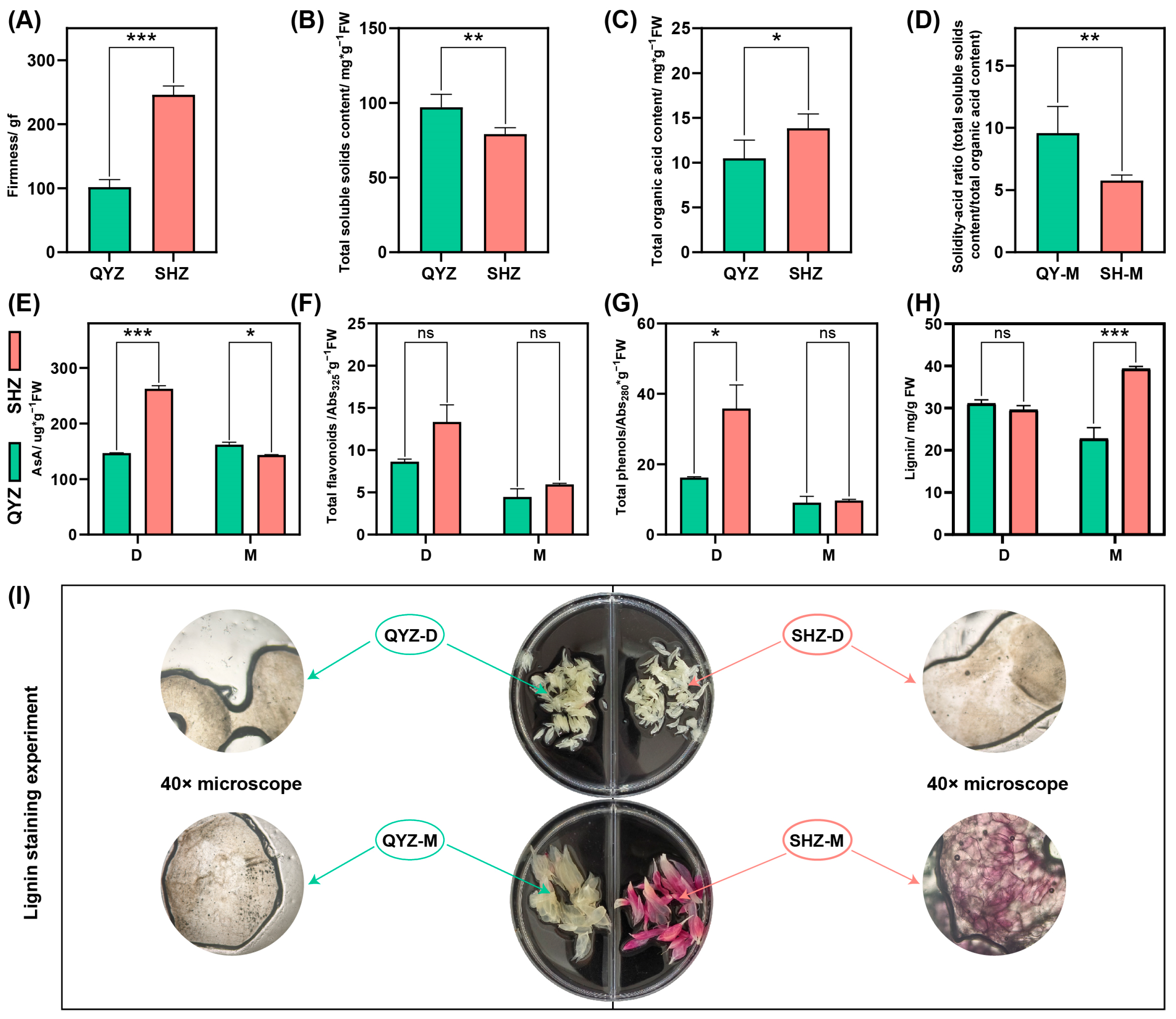 Horticulturae 11 01230 g002