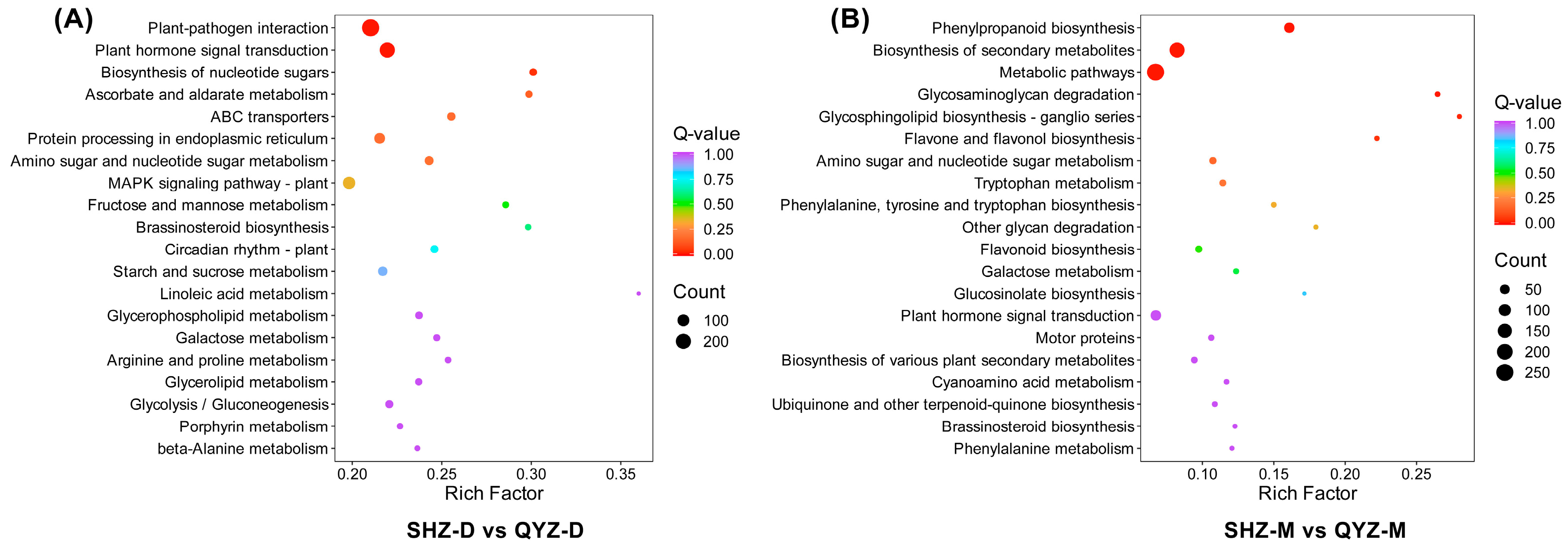 Horticulturae 11 01230 g004