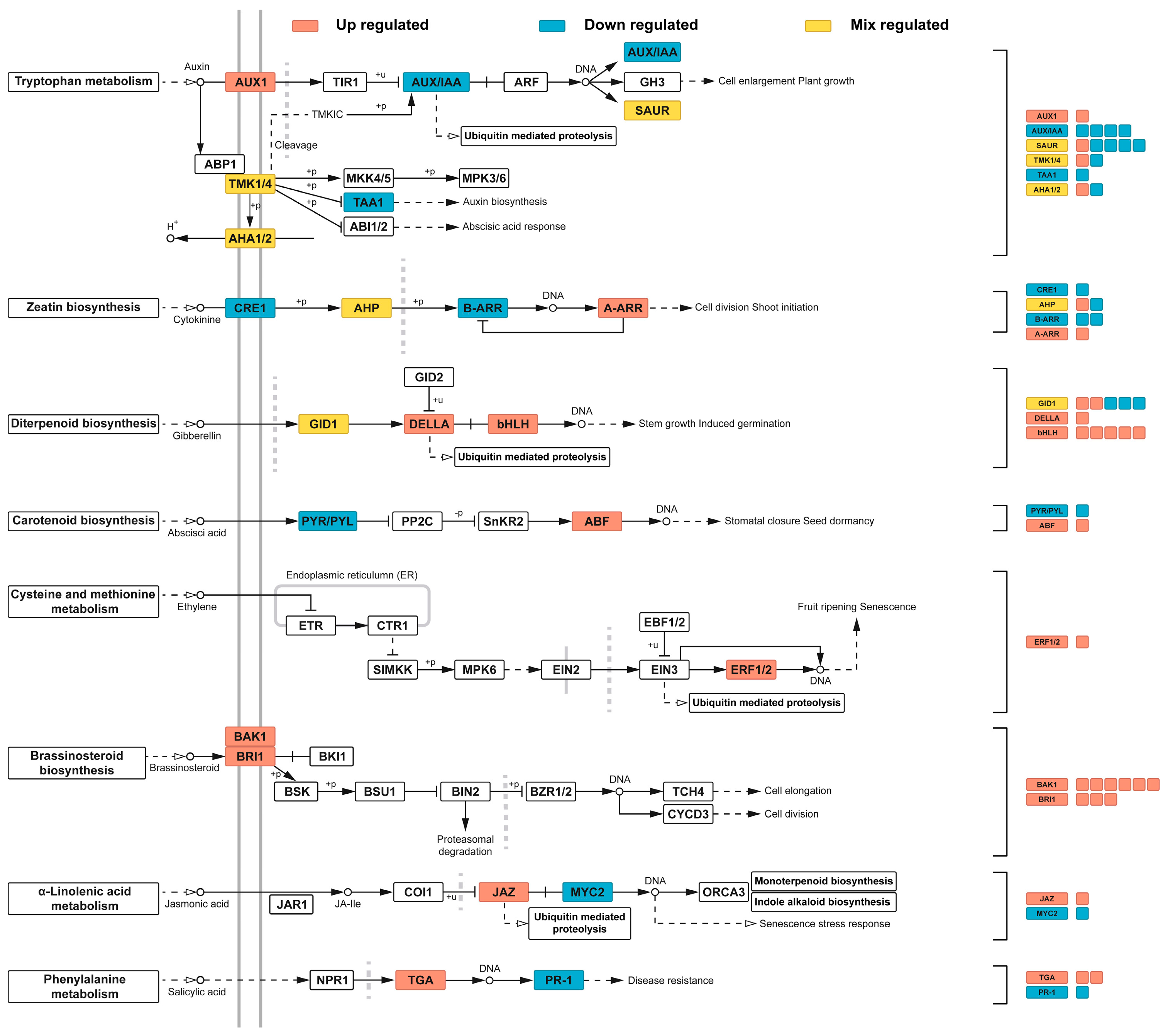 Horticulturae 11 01230 g006