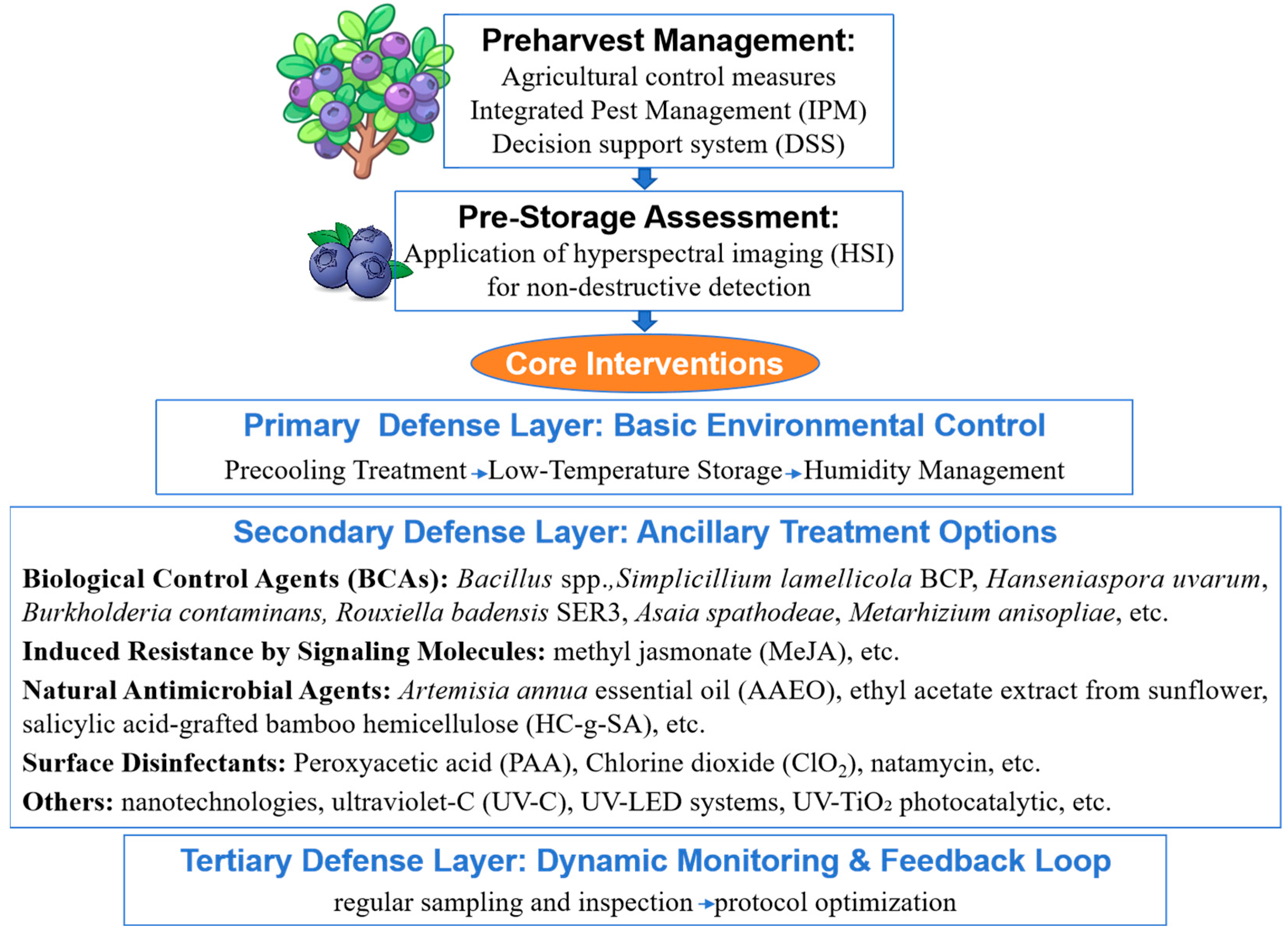 Horticulturae 11 01241 g002 Horticulturae 11 01241 g002