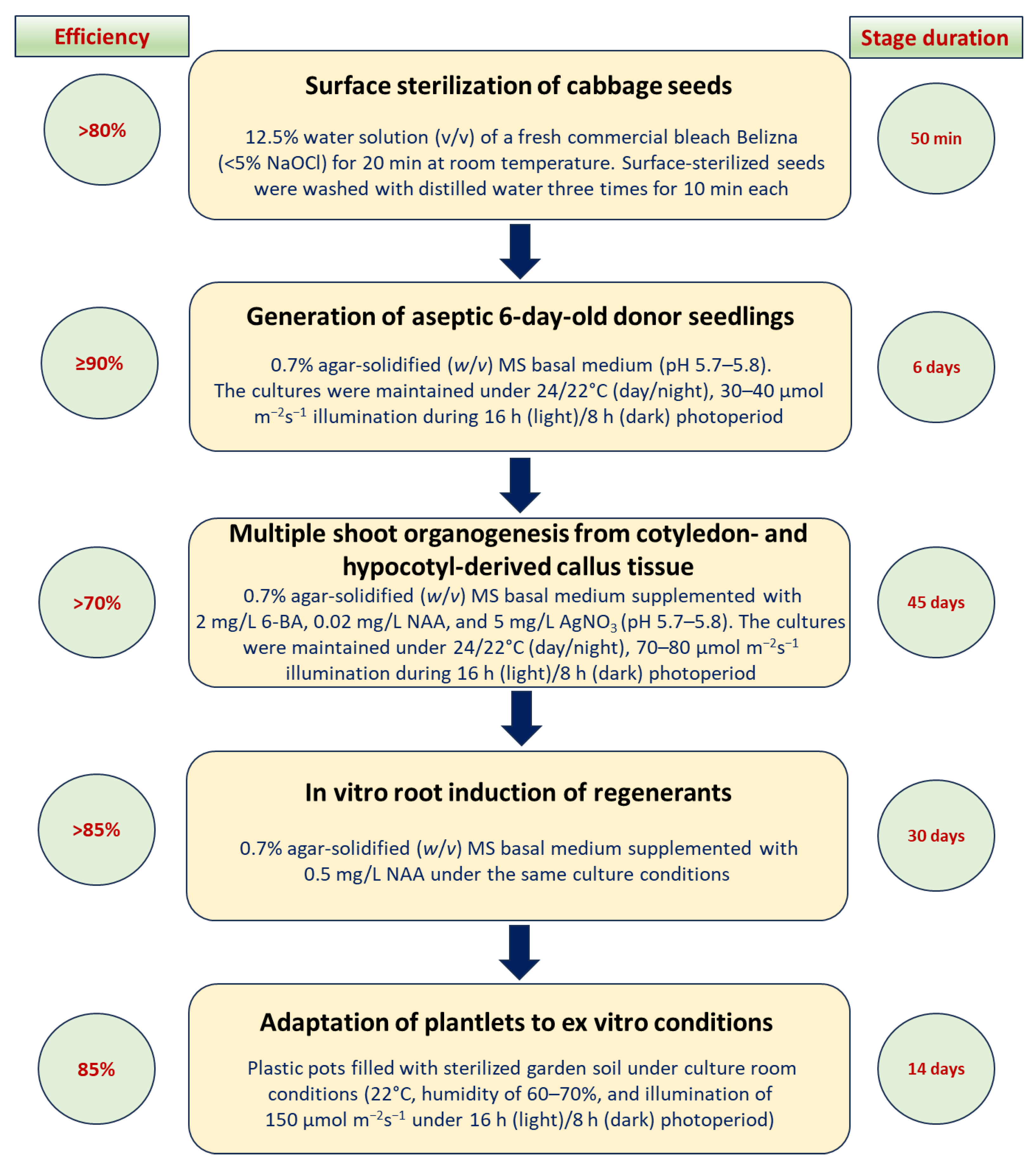 Horticulturae 11 01246 g004