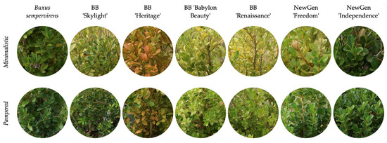 Horticulturae 11 01256 g005