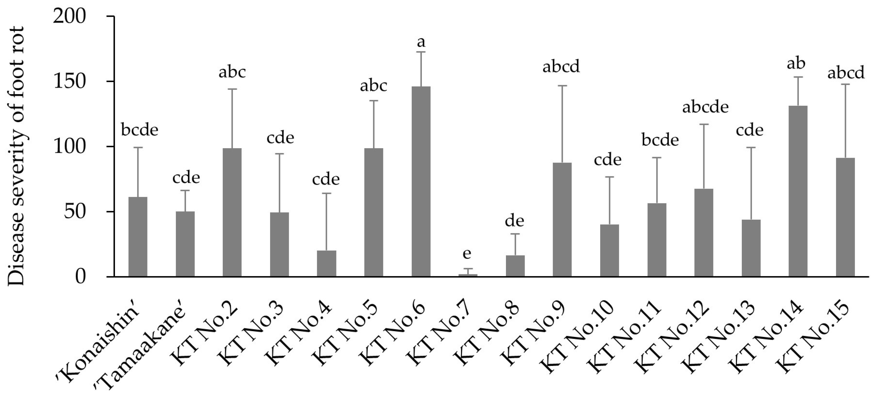 Horticulturae 11 01439 g005 Horticulturae 11 01439 g005