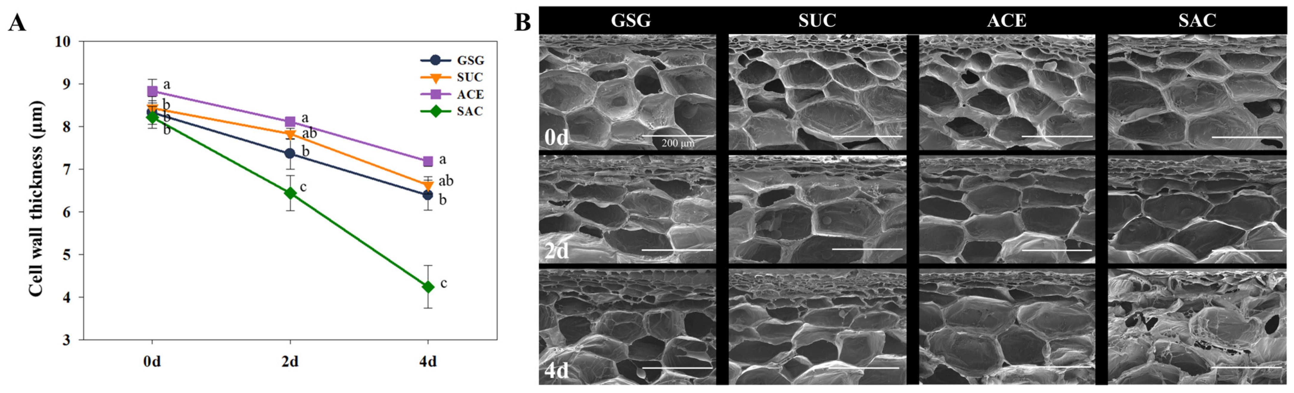 Horticulturae 11 01503 g004 Horticulturae 11 01503 g004
