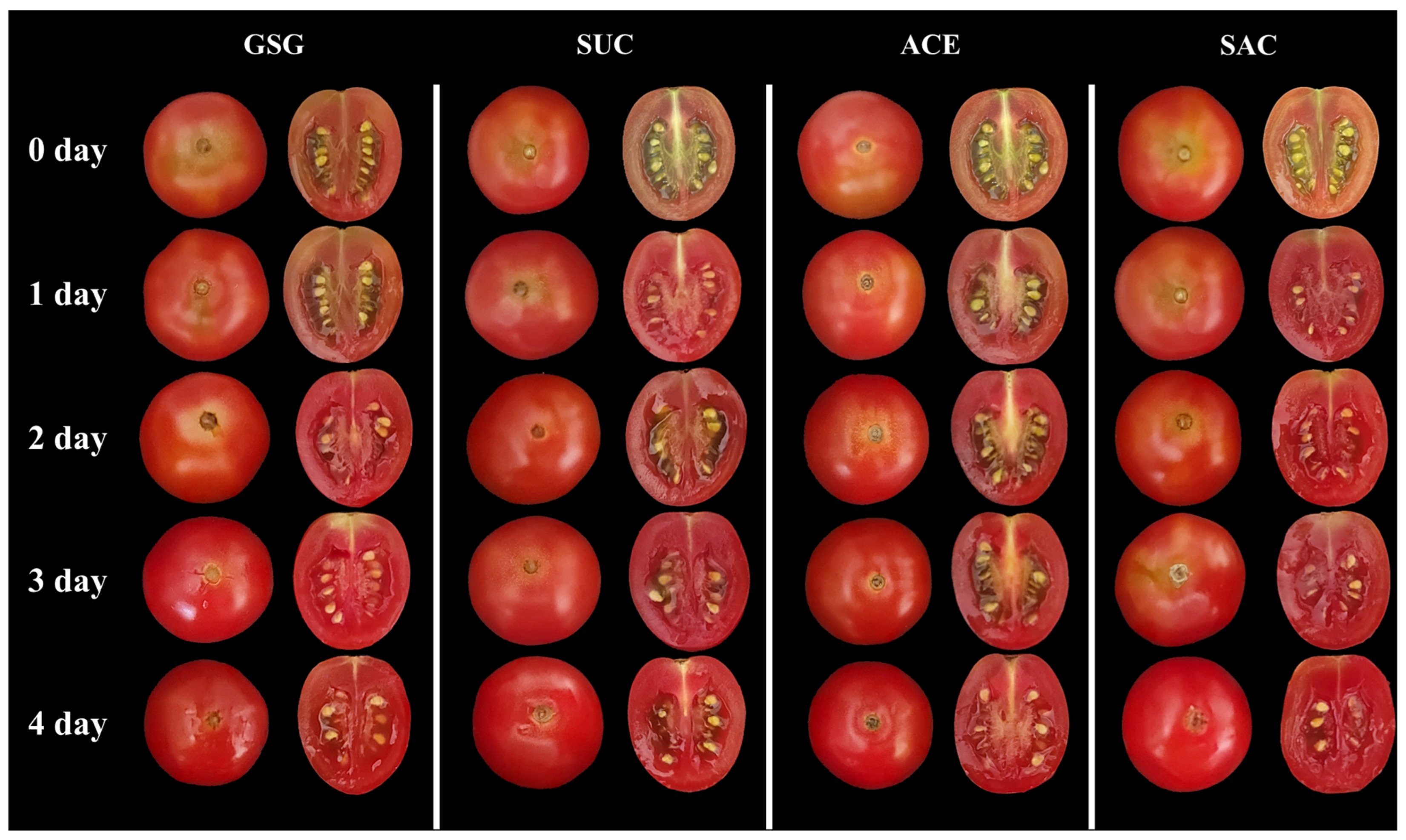 Horticulturae 11 01503 g007 Horticulturae 11 01503 g007