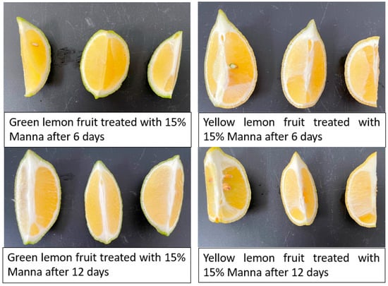 Green and yellow lemon treated with 15% manna after 6 and 12 days of storage at 5 °C with 85% RH.