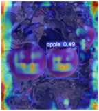 Horticulturae 11 01539 i001 Horticulturae 11 01539 i001