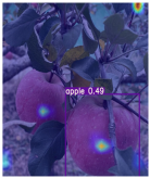 Horticulturae 11 01539 i002 Horticulturae 11 01539 i002