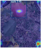 Horticulturae 11 01539 i003 Horticulturae 11 01539 i003