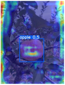 Horticulturae 11 01539 i004 Horticulturae 11 01539 i004