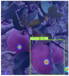 Horticulturae 11 01539 i006 Horticulturae 11 01539 i006