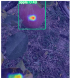 Horticulturae 11 01539 i007 Horticulturae 11 01539 i007