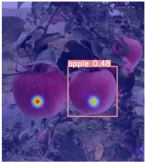 Horticulturae 11 01539 i009 Horticulturae 11 01539 i009