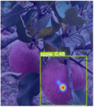 Horticulturae 11 01539 i010 Horticulturae 11 01539 i010