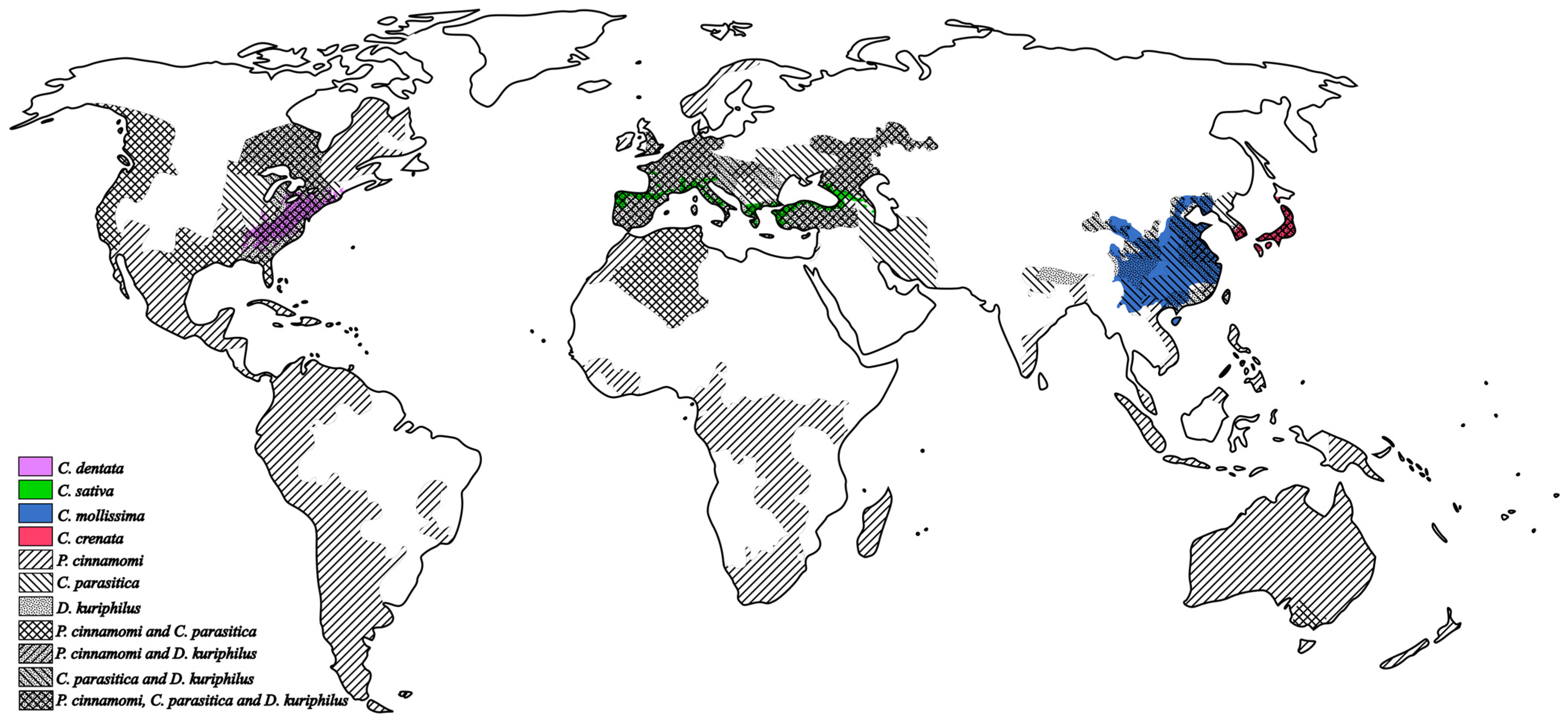 Horticulturae 12 00011 g001