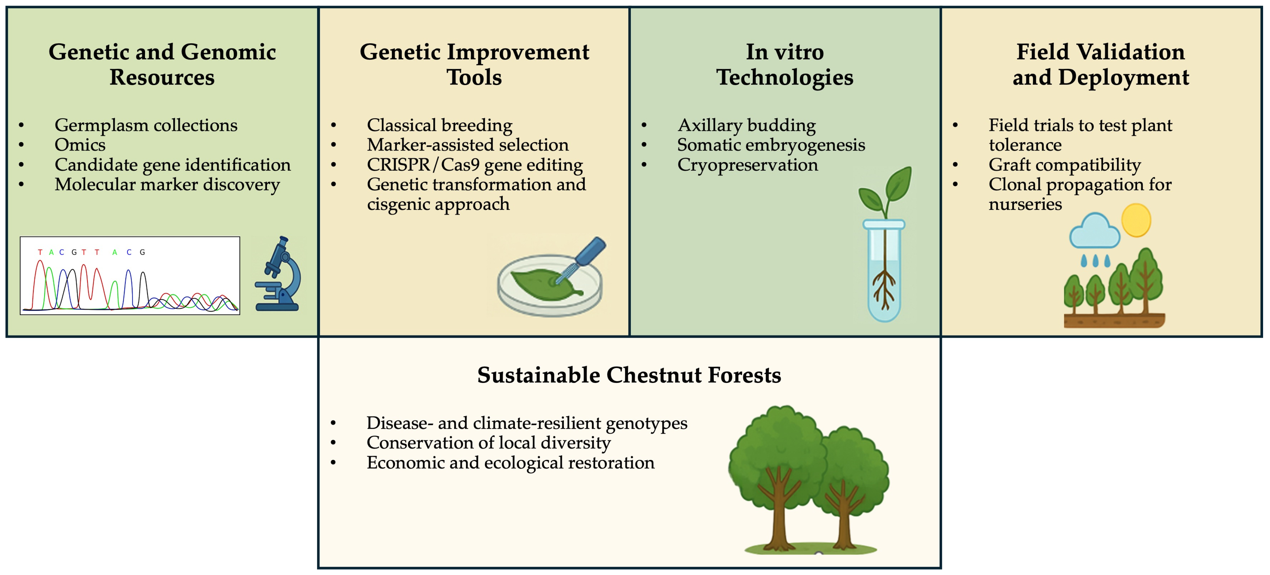 Horticulturae 12 00011 g002