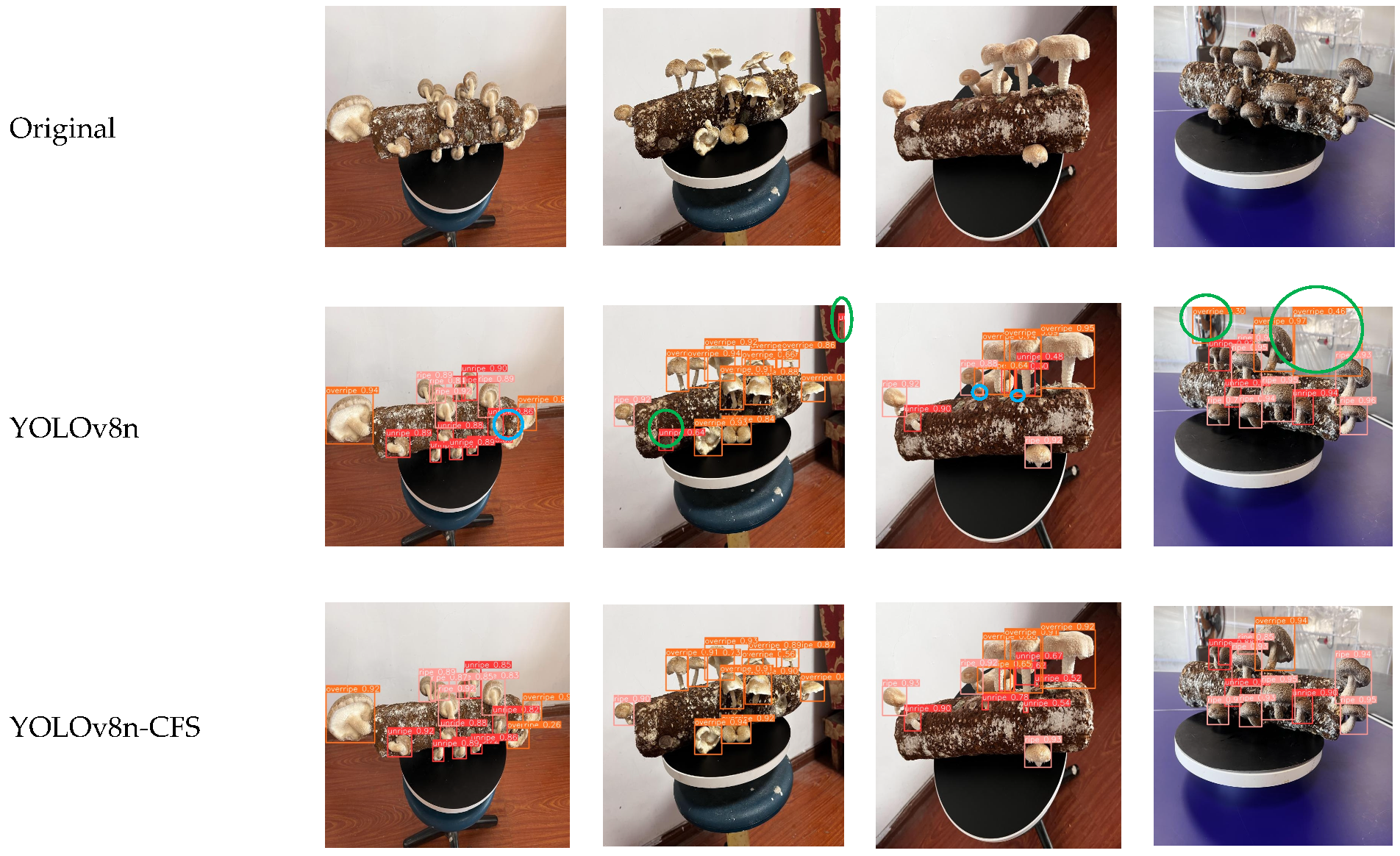 Horticulturae 12 00076 g017 Horticulturae 12 00076 g017