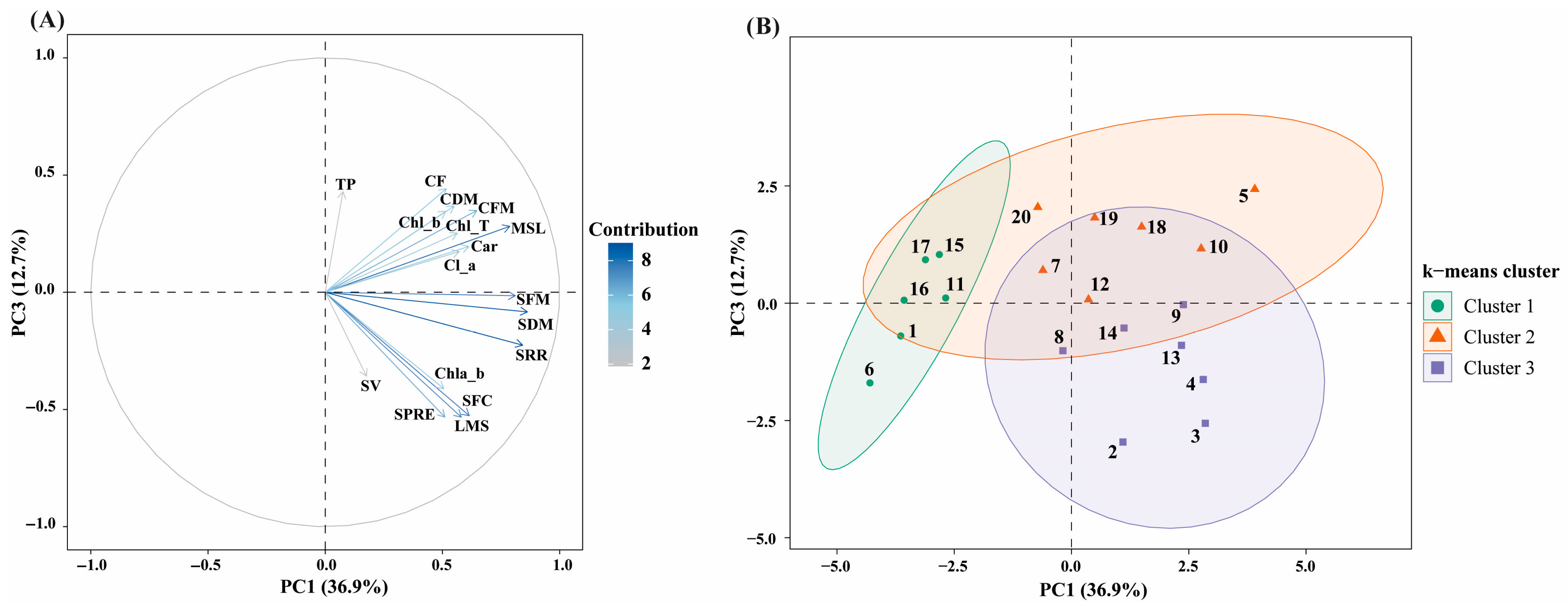 Horticulturae 12 00173 g006 Horticulturae 12 00173 g006