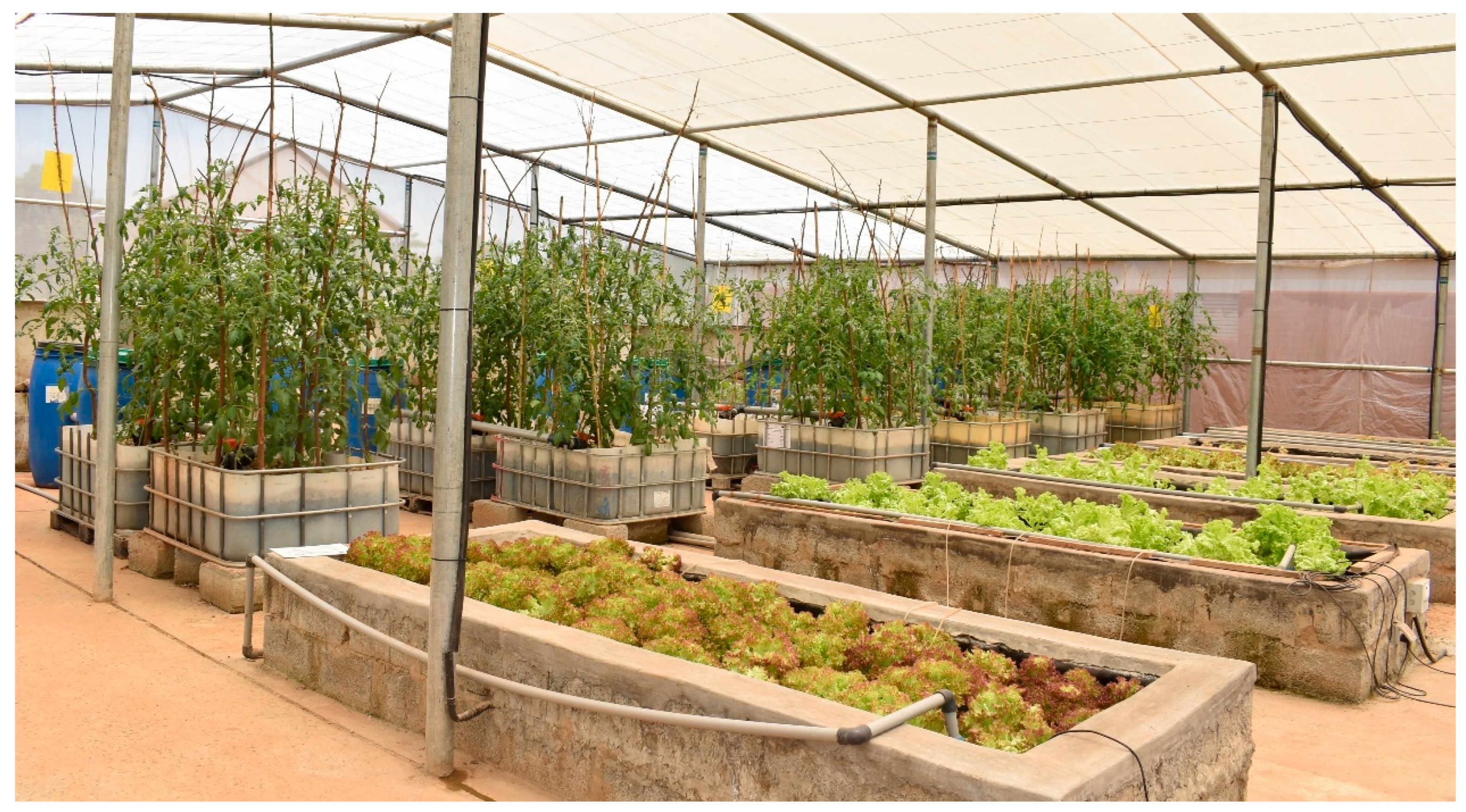 Horticulturae 12 00175 g002 Horticulturae 12 00175 g002