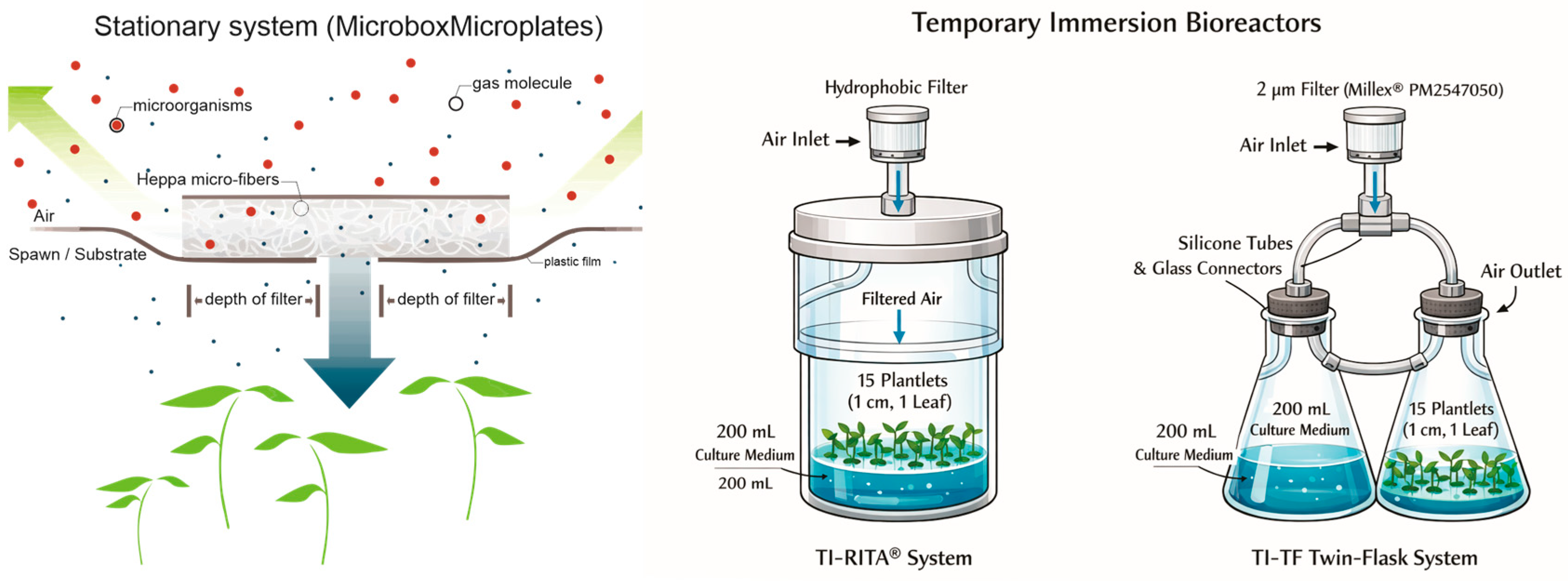 Horticulturae 12 00176 g001