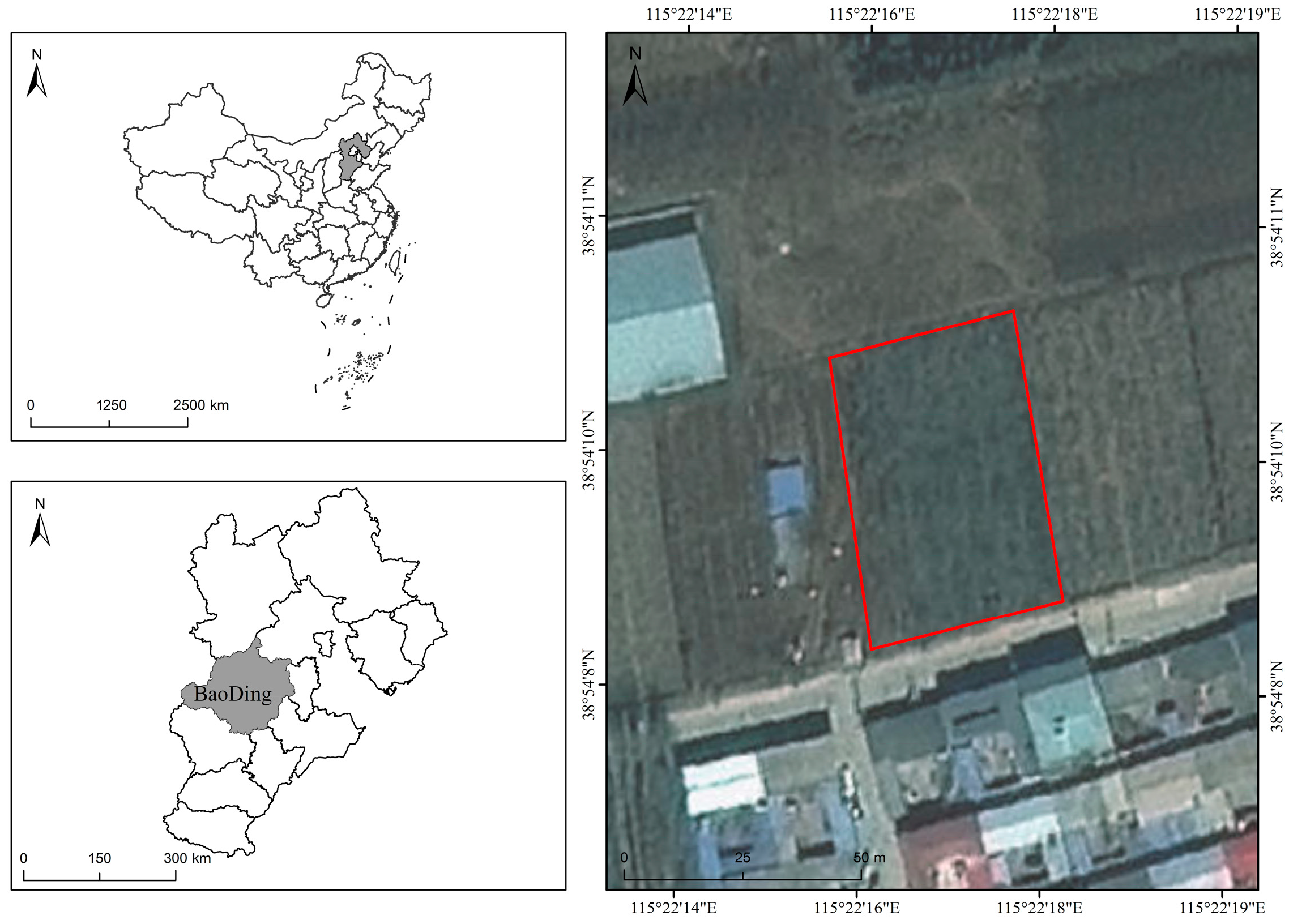 Horticulturae 12 00184 g002