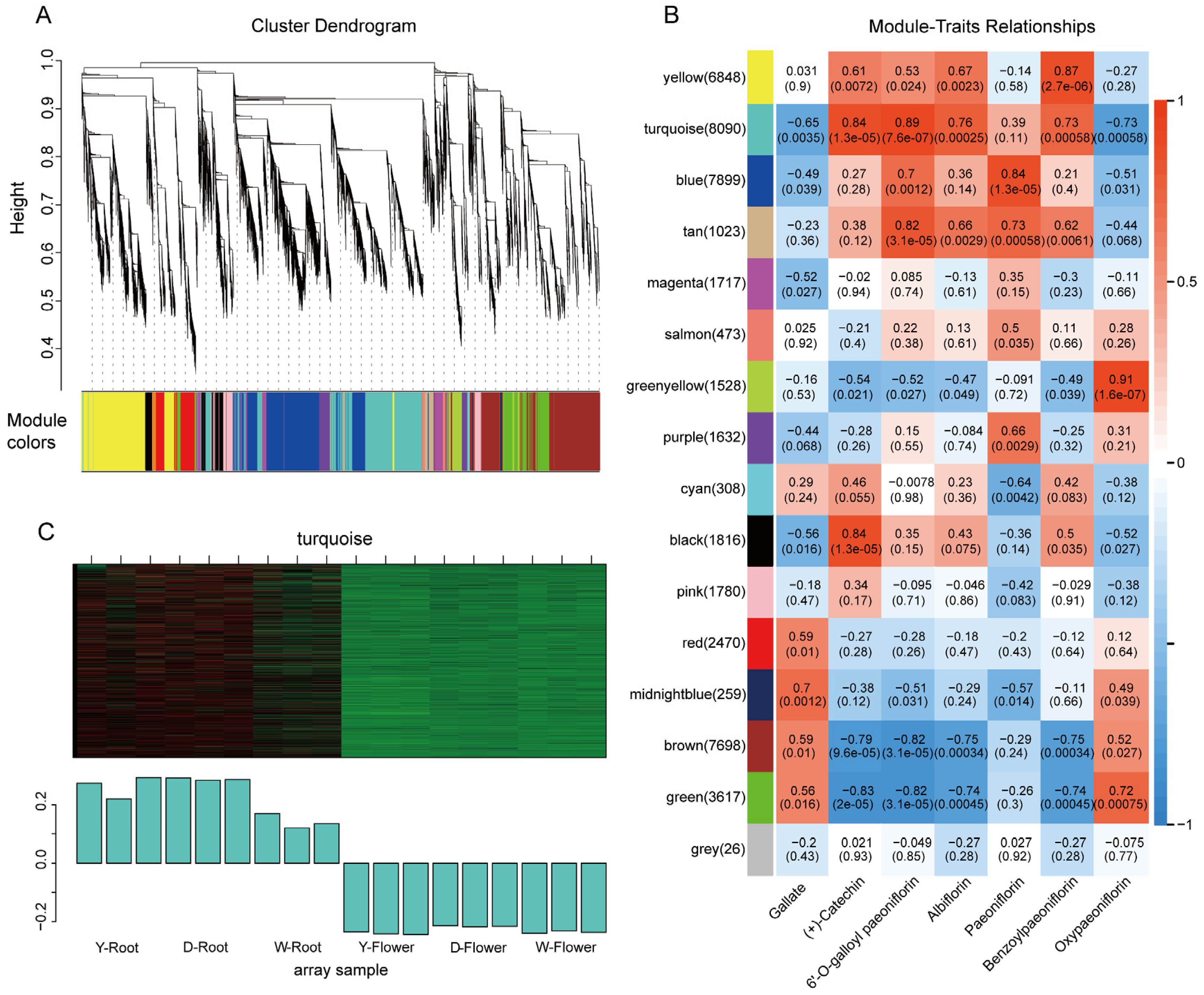 Horticulturae 12 00188 g006