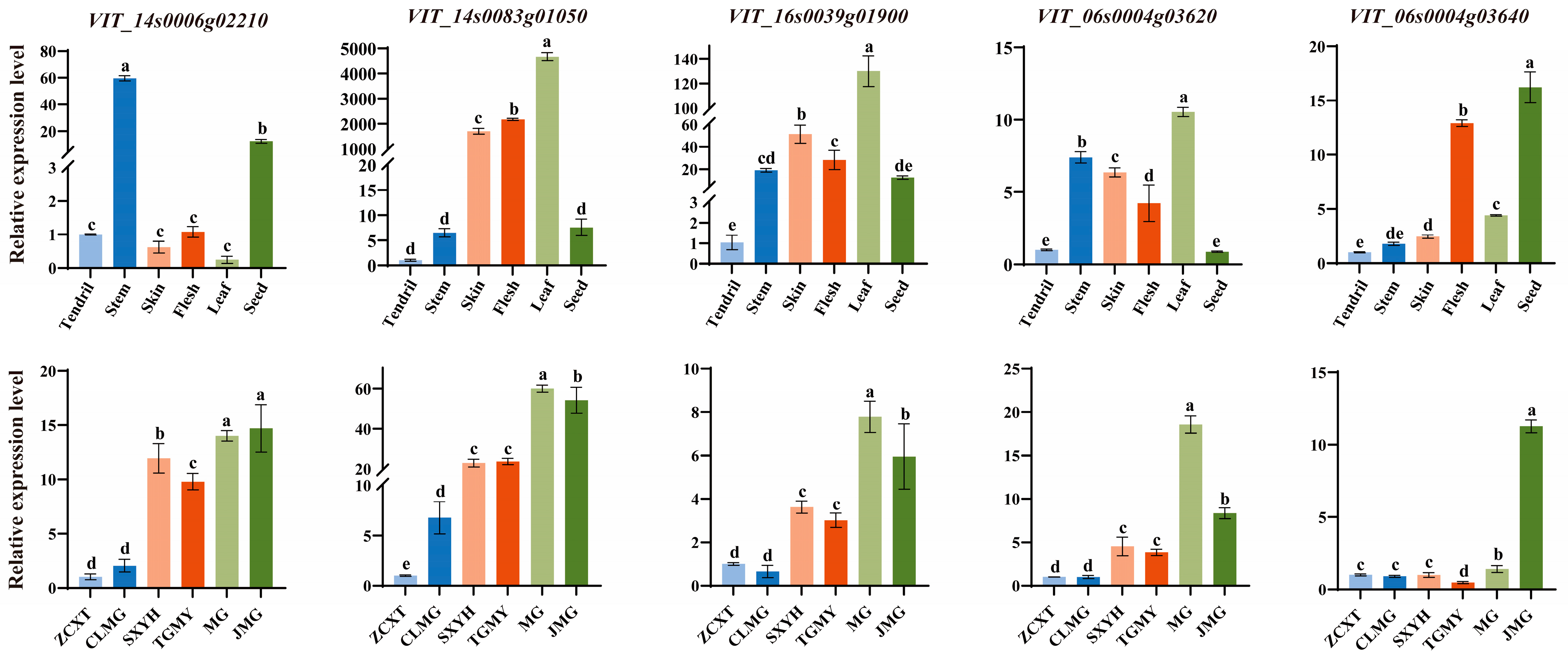 Horticulturae 12 00359 g006 Horticulturae 12 00359 g006