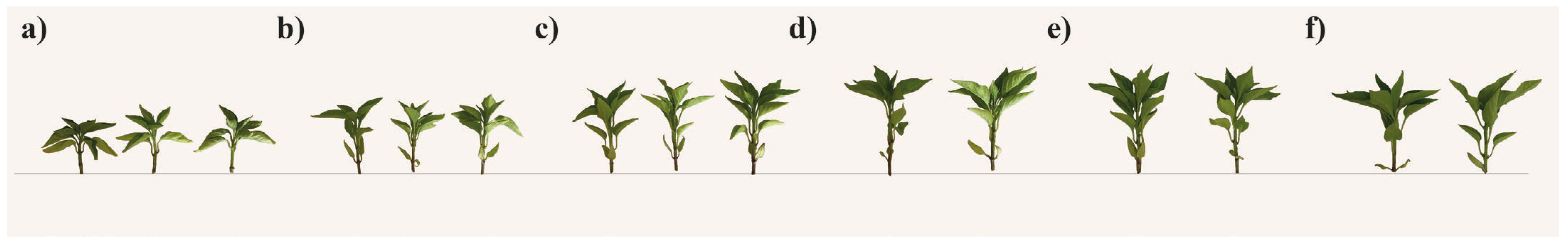 Horticulturae 12 00361 g001 Horticulturae 12 00361 g001